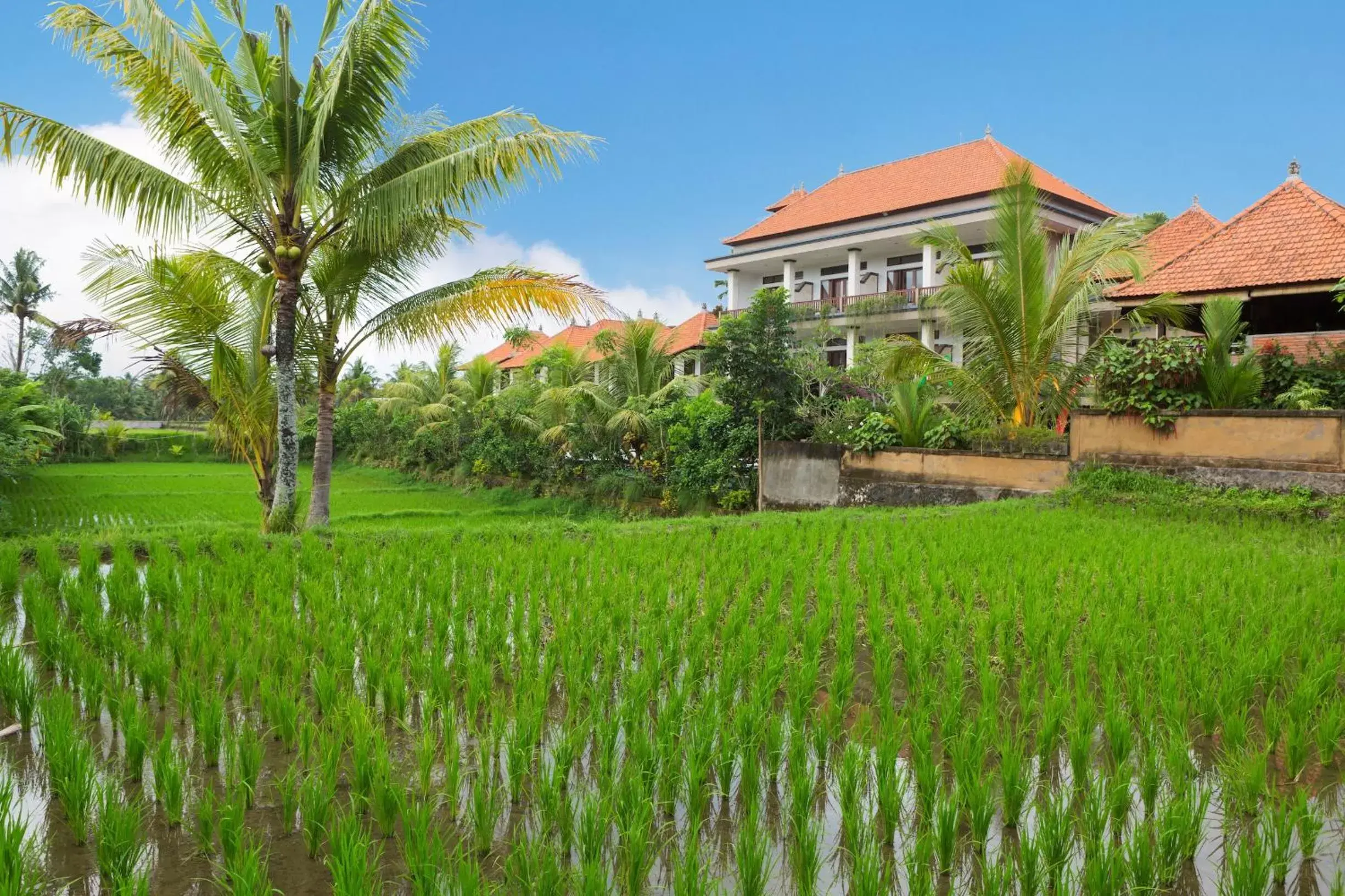 View (from property/room), Property Building in Kiskenda Cottages & Restaurant