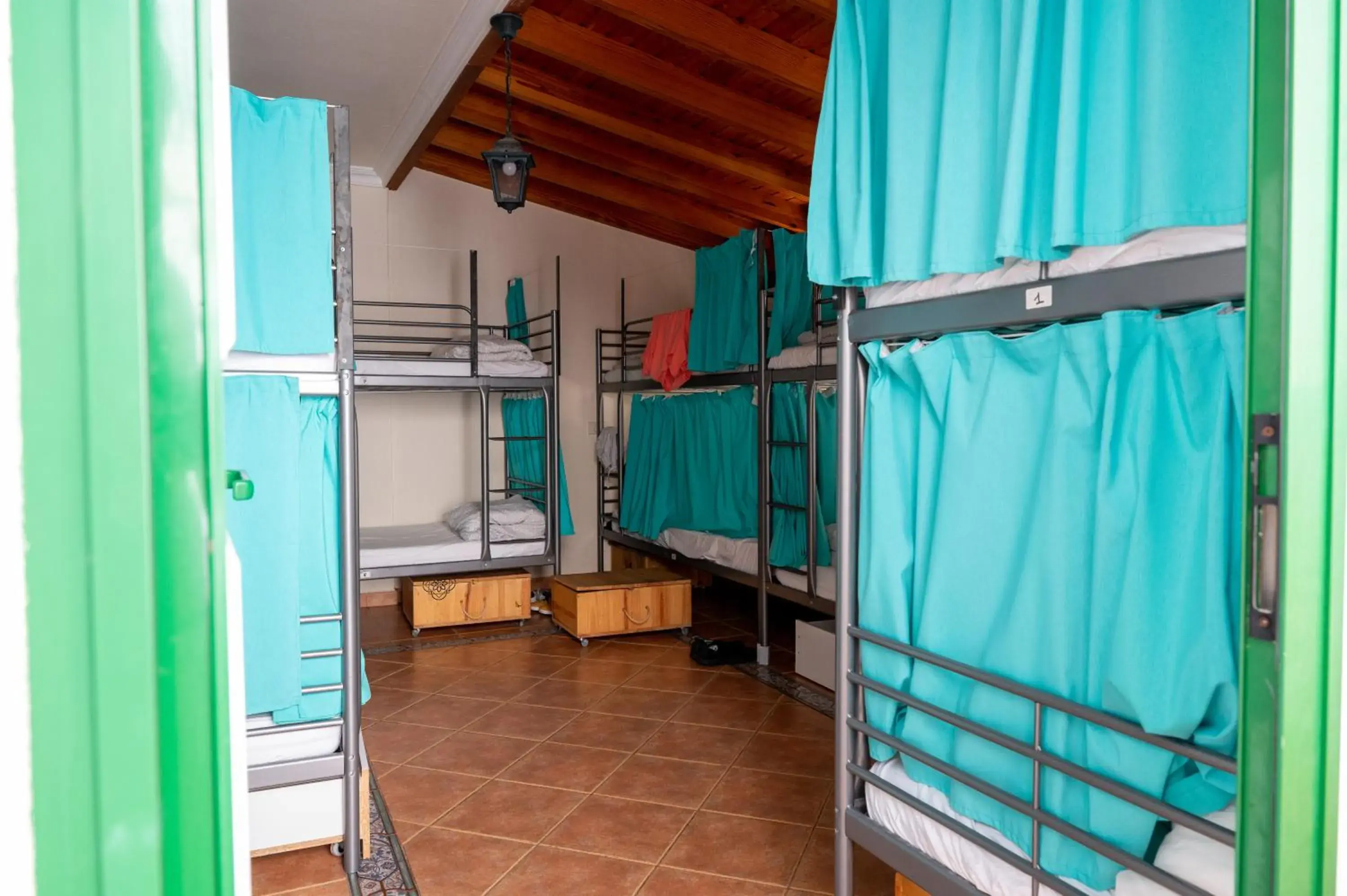 Bed, Bunk Bed in Arena Nest Hostel