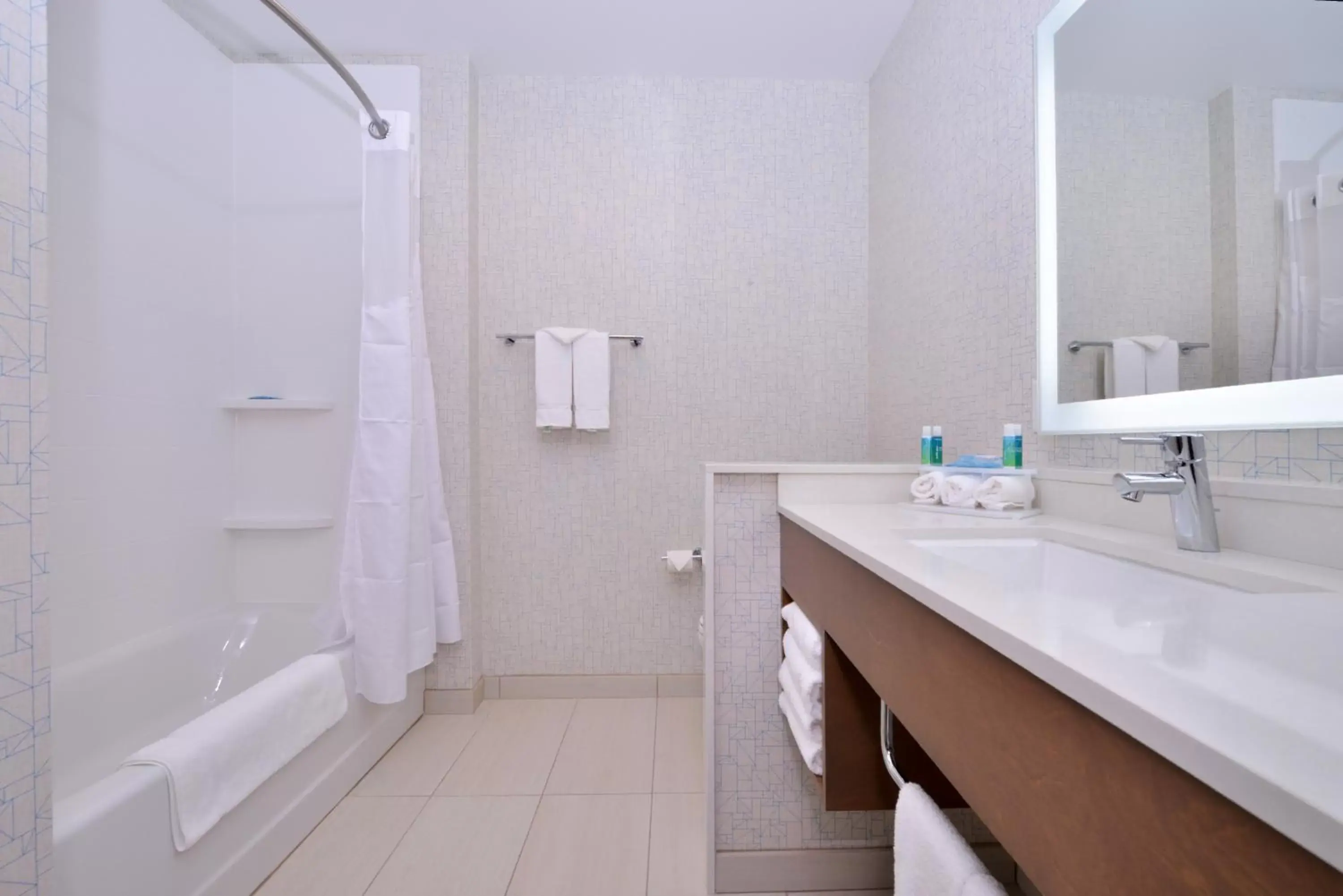 Bathroom in Holiday Inn Express & Suites Madison, an IHG Hotel