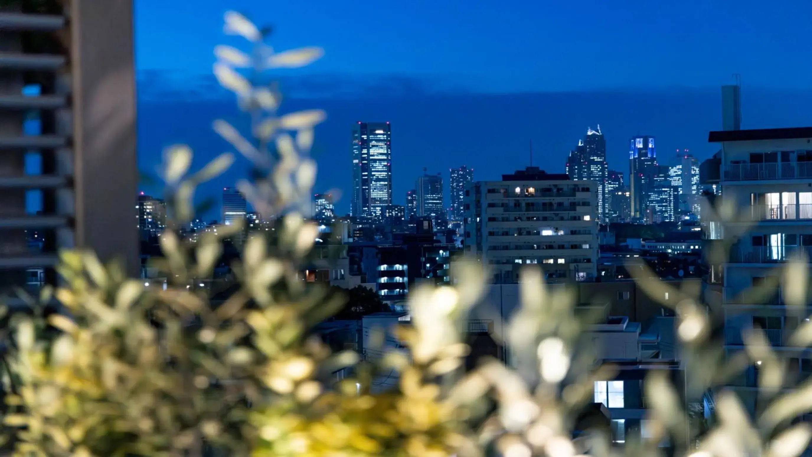 View (from property/room) in Tokyu Stay Shibuya View (from property/room) in Tokyu Stay Shibuya