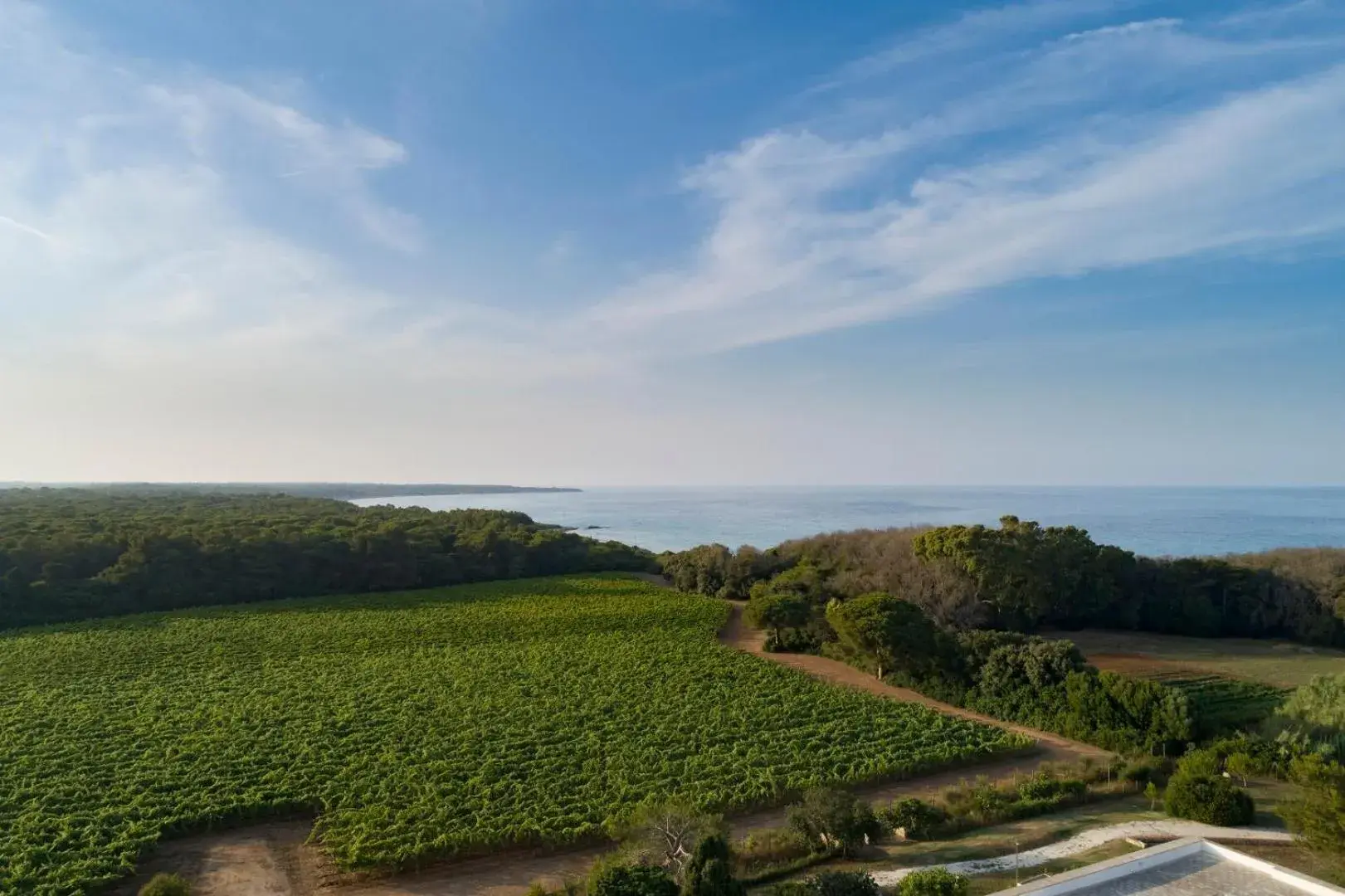 Natural landscape in Masseria Mongio dell'Elefante