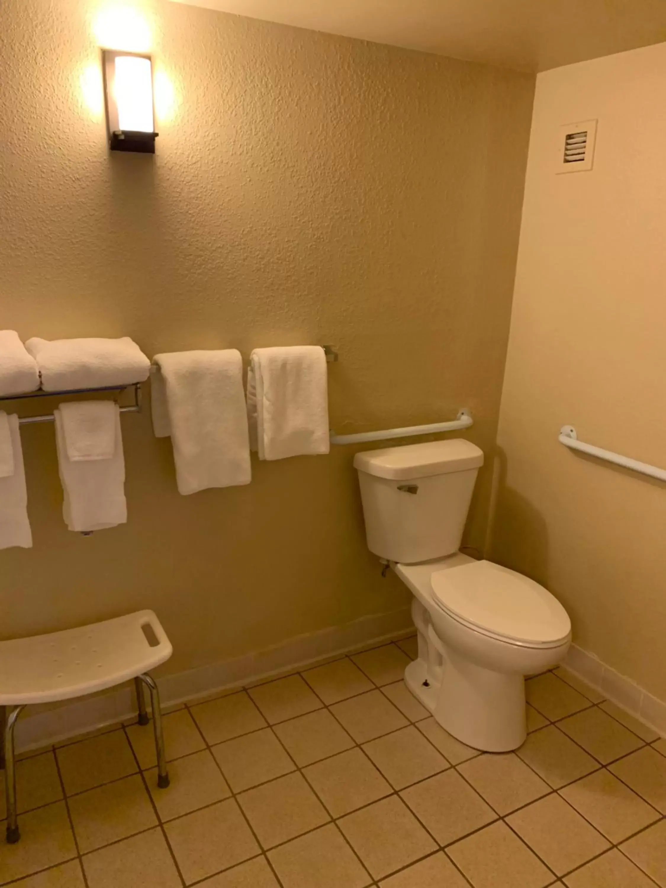 Bathroom in Comfort Inn & Suites Madison - Airport