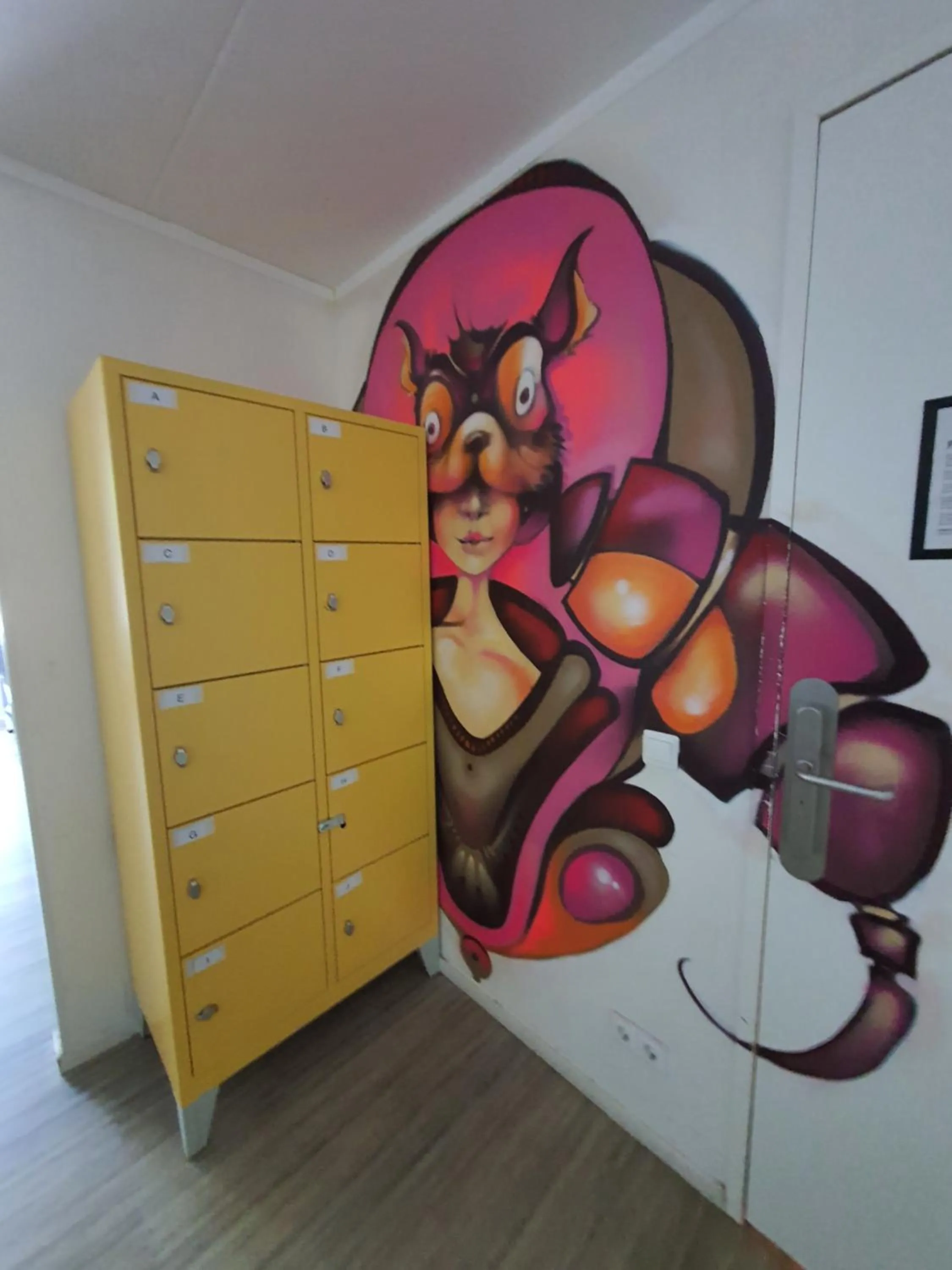 Photo of the whole room in Dutchies Hostel