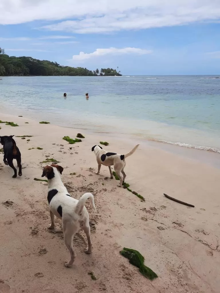 Casa Acuario Boutique Hotel