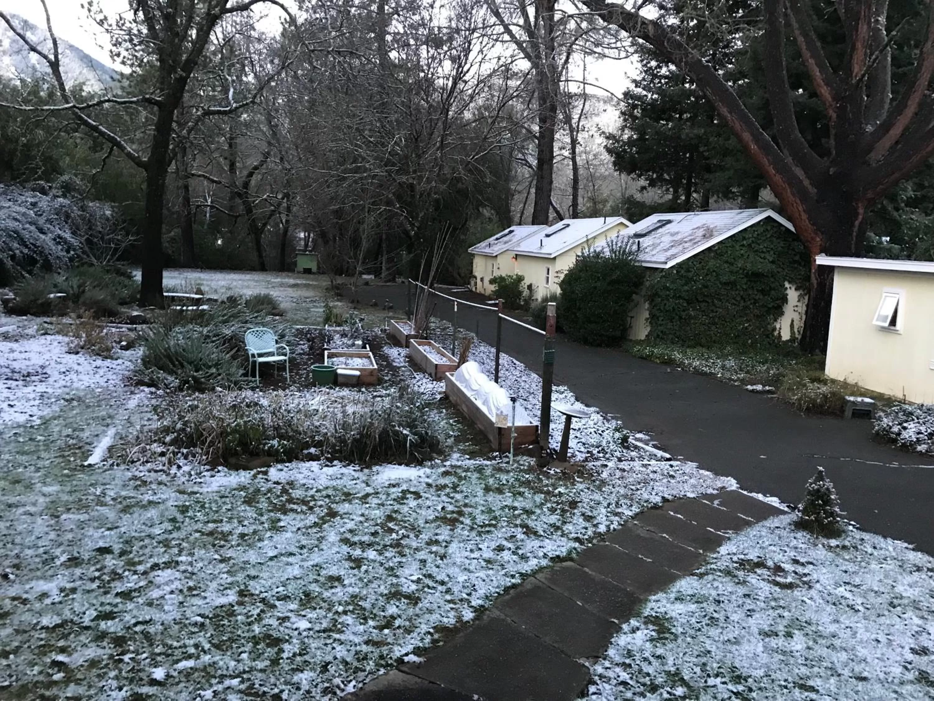 Property building in Backyard Garden Oasis