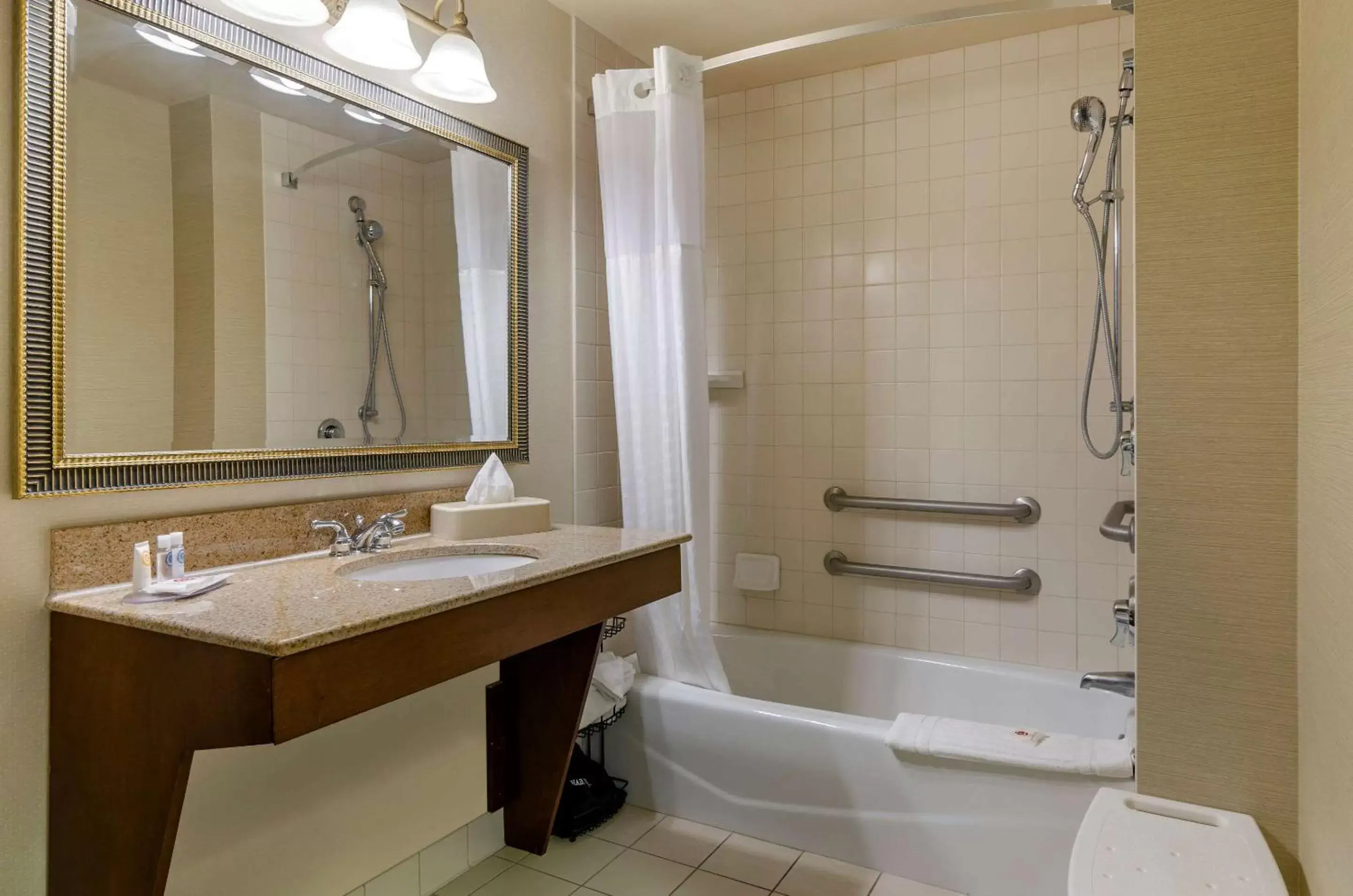 Bathroom in Comfort Inn & Suites Jerome - Twin Falls