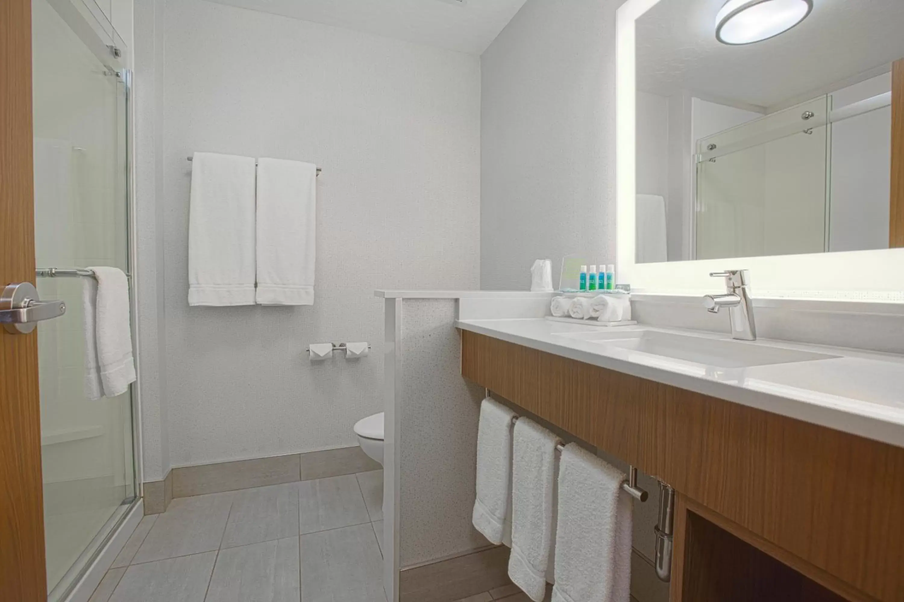 Bathroom in Holiday Inn Express & Suites Boise Airport, an IHG Hotel