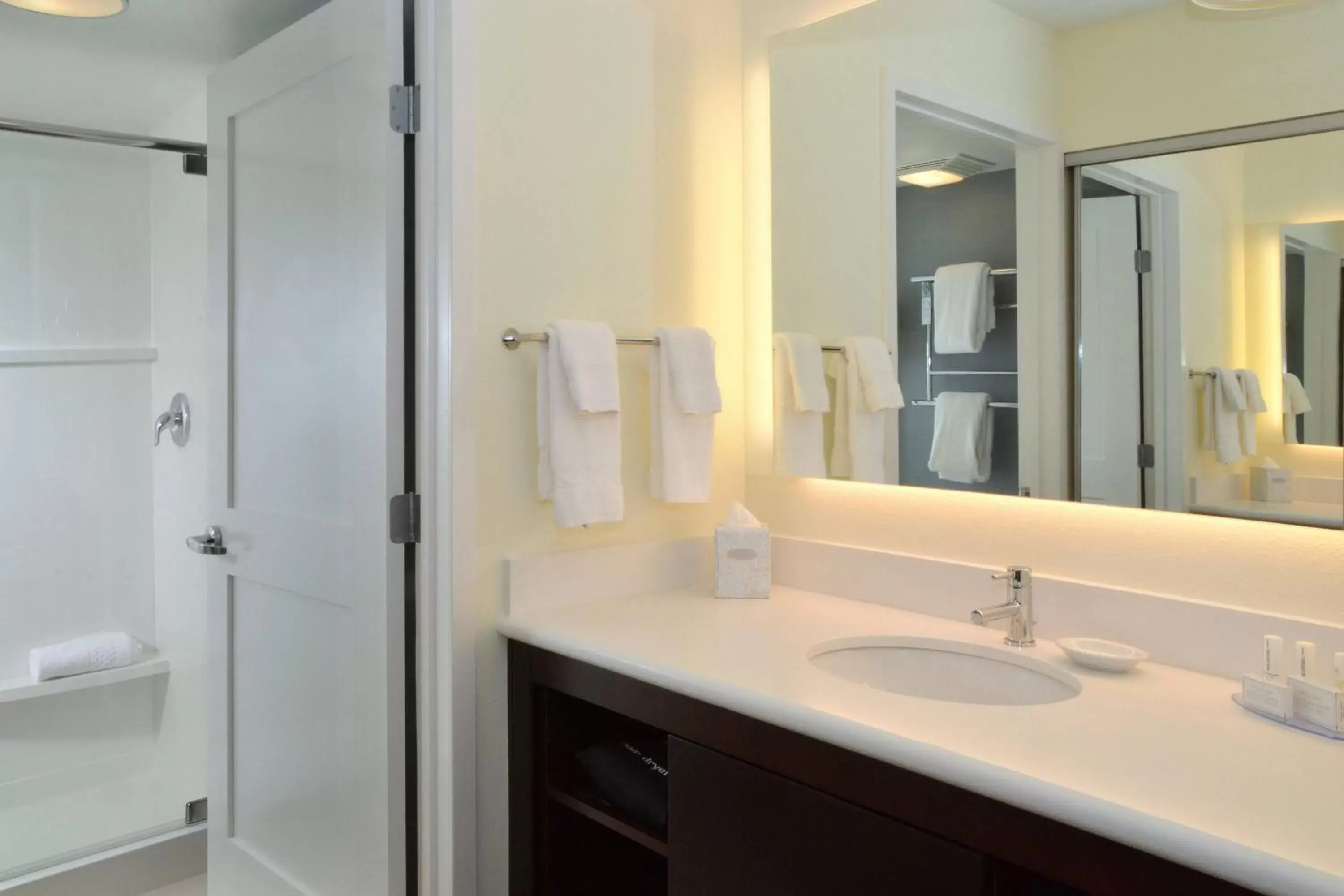 Bathroom in Residence Inn by Marriott Akron Fairlawn