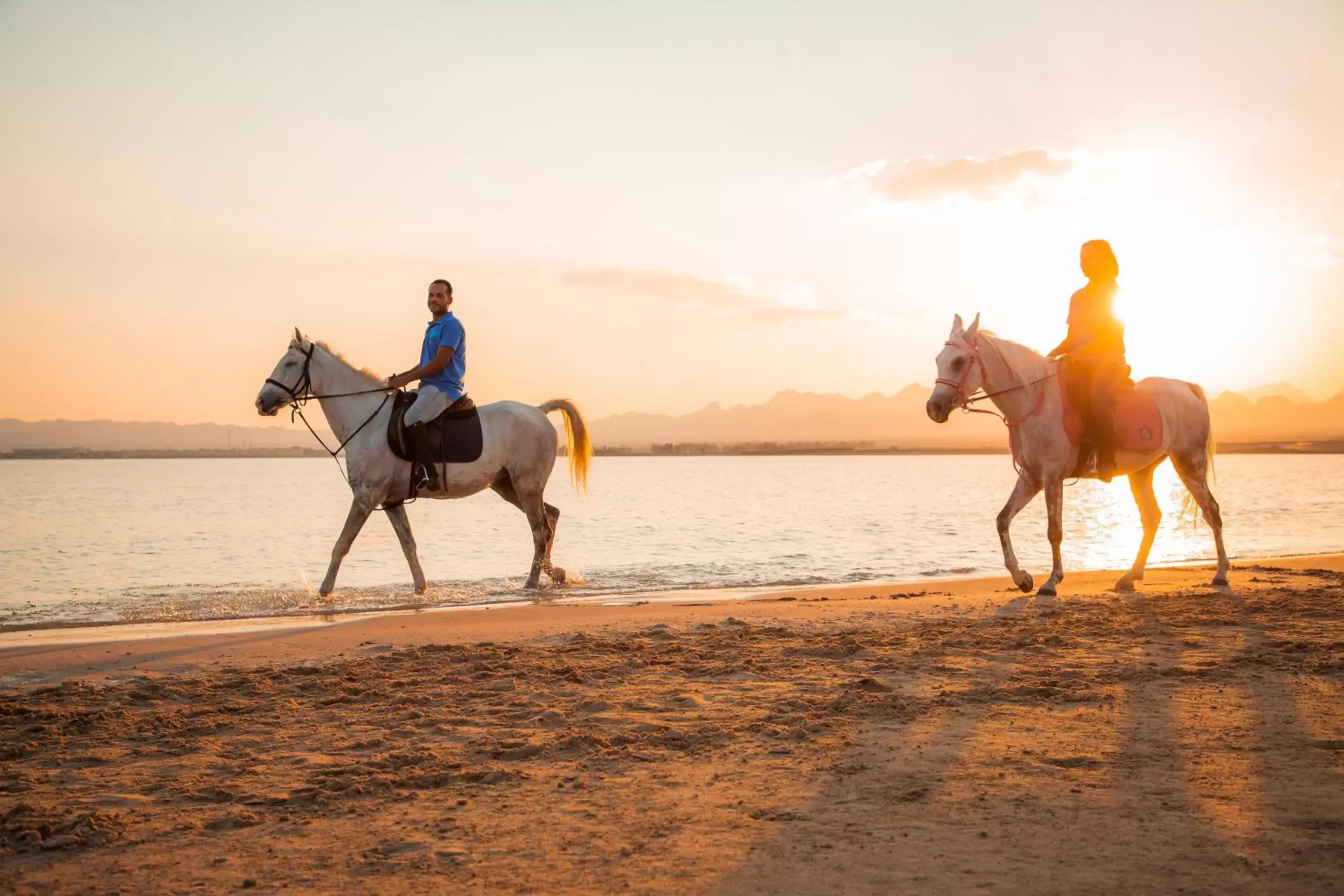 People, Horseback Riding in Kempinski Hotel Soma Bay