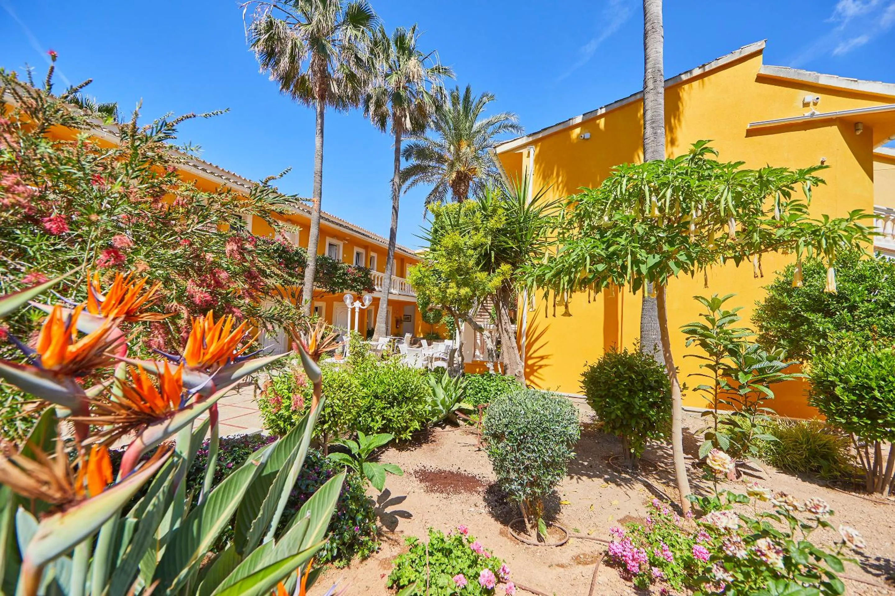 Property building in Hotel Cupidor