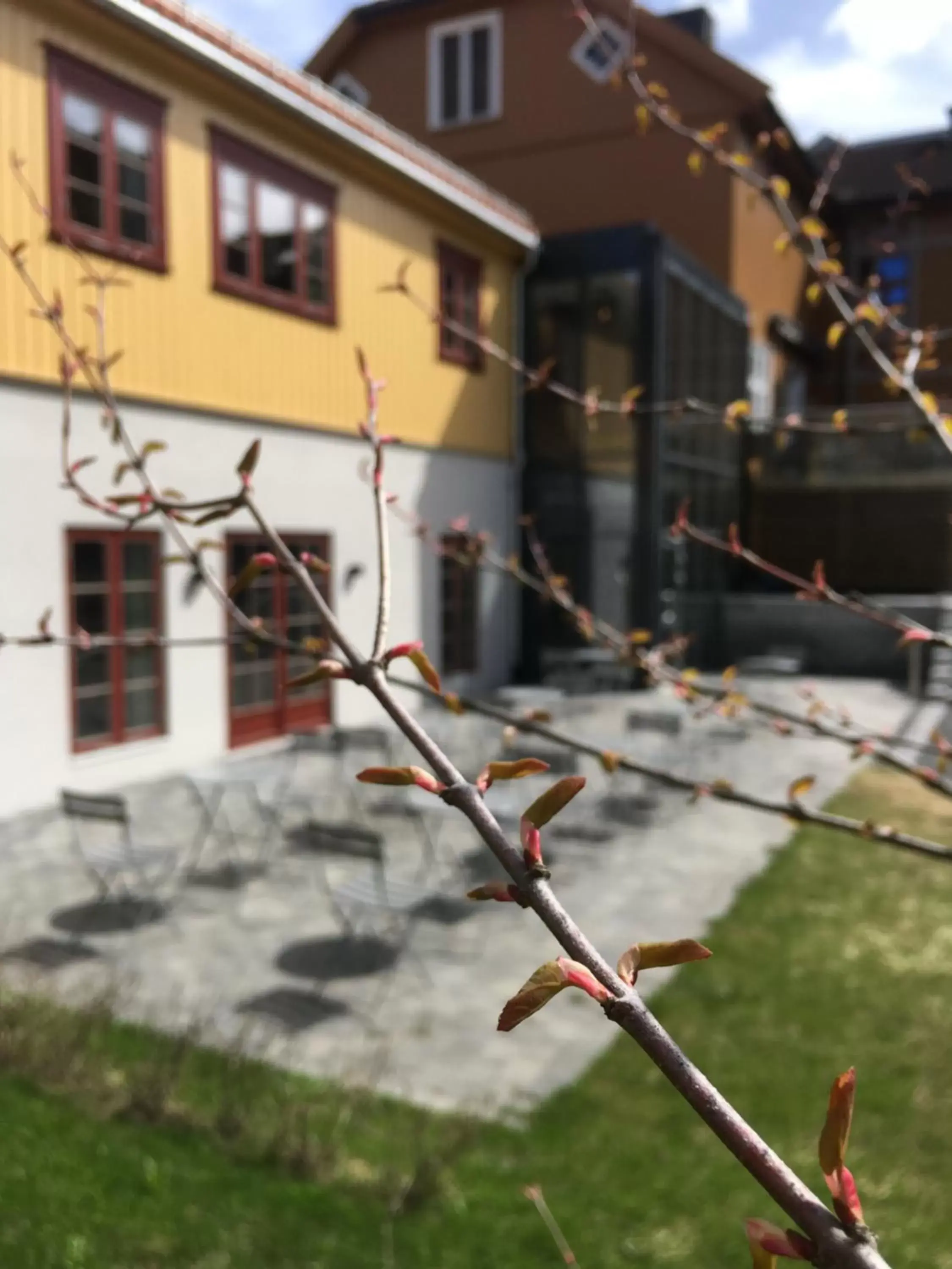 Patio, Property Building in Clarion Collection Hotel Hammer