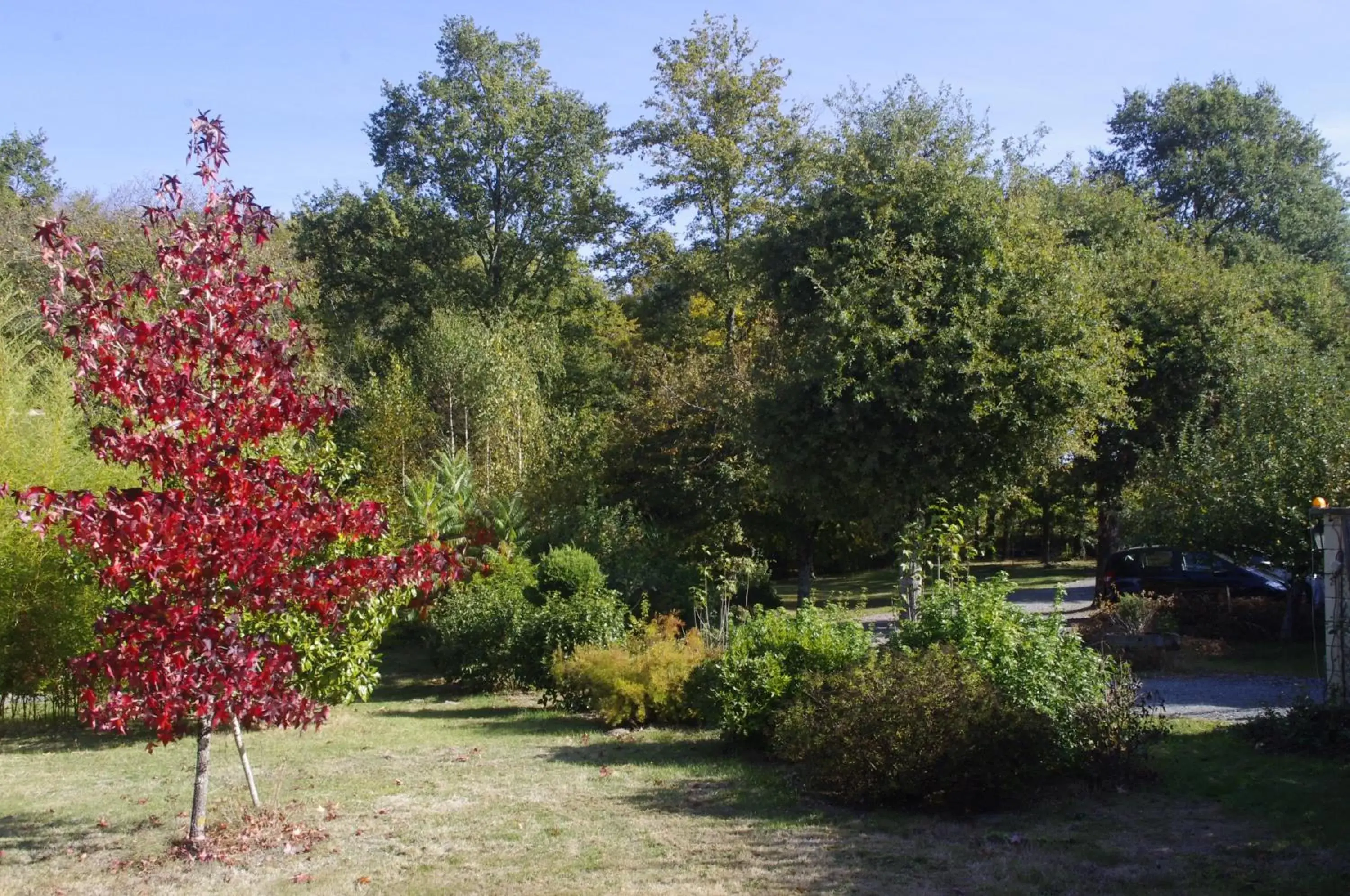 Garden in Domaine de Sahil