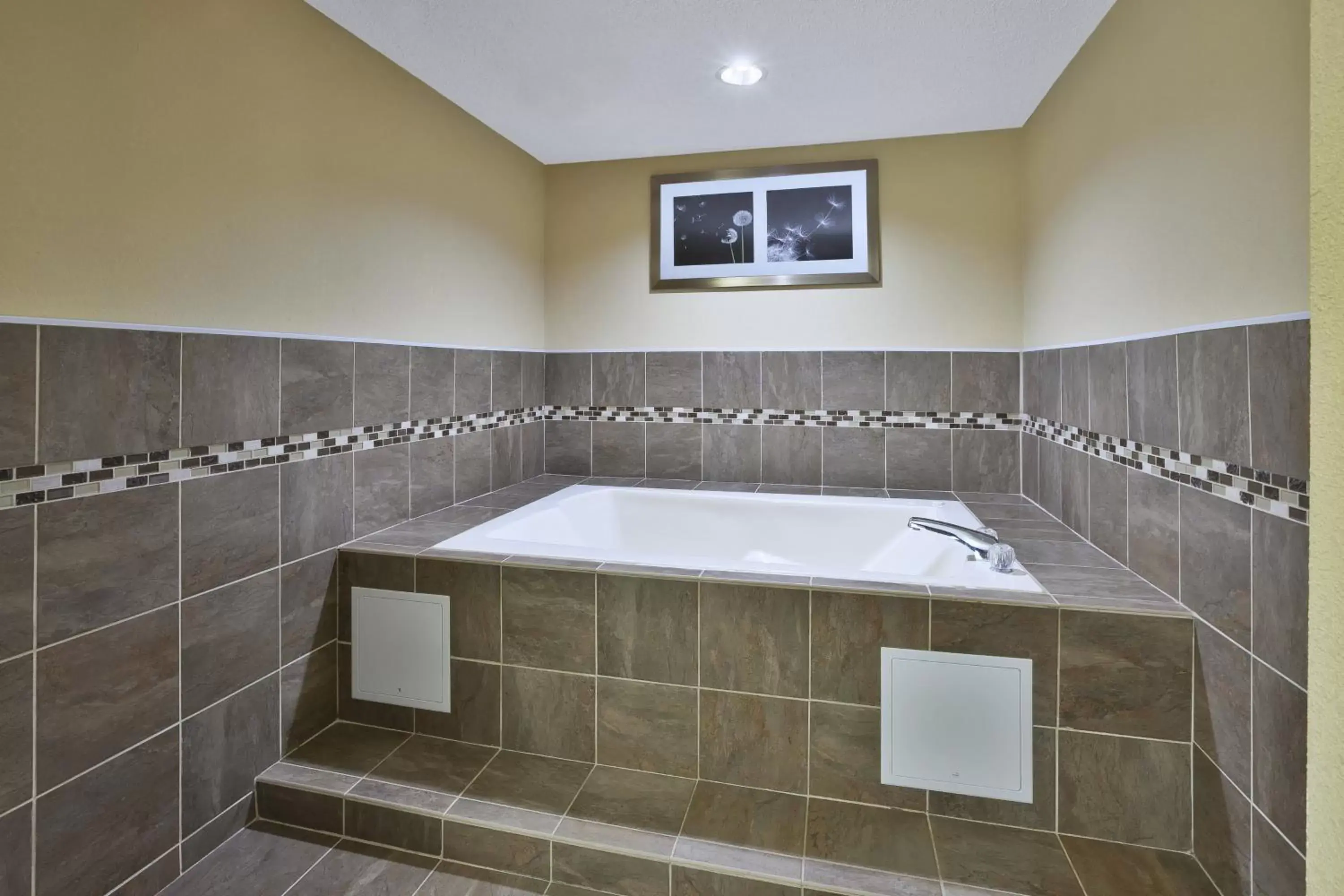 Photo of the whole room, Bathroom in Holiday Inn Express Hotel & Suites Circleville, an IHG Hotel