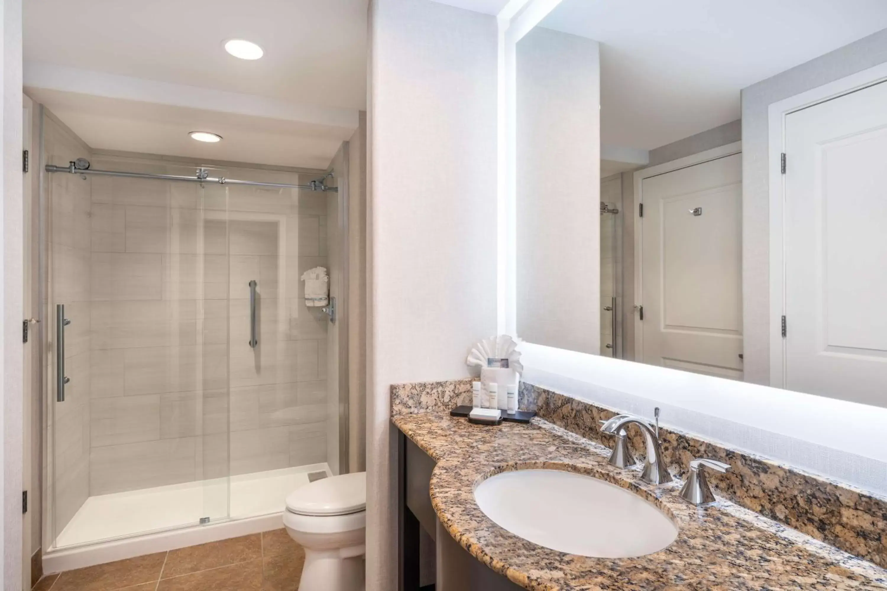 Bathroom in Embassy Suites Tucson - Paloma Village