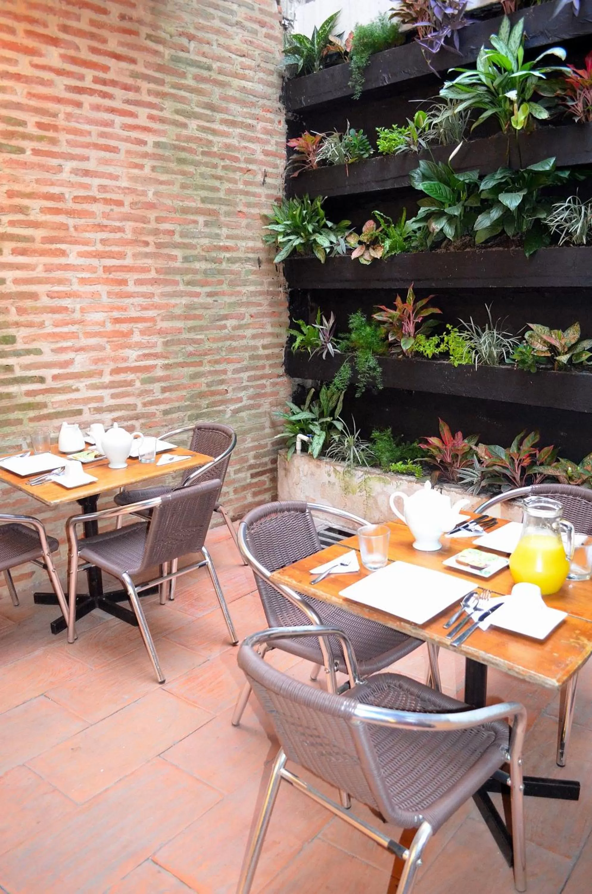 Garden in Hotel Galeria la Trinidad