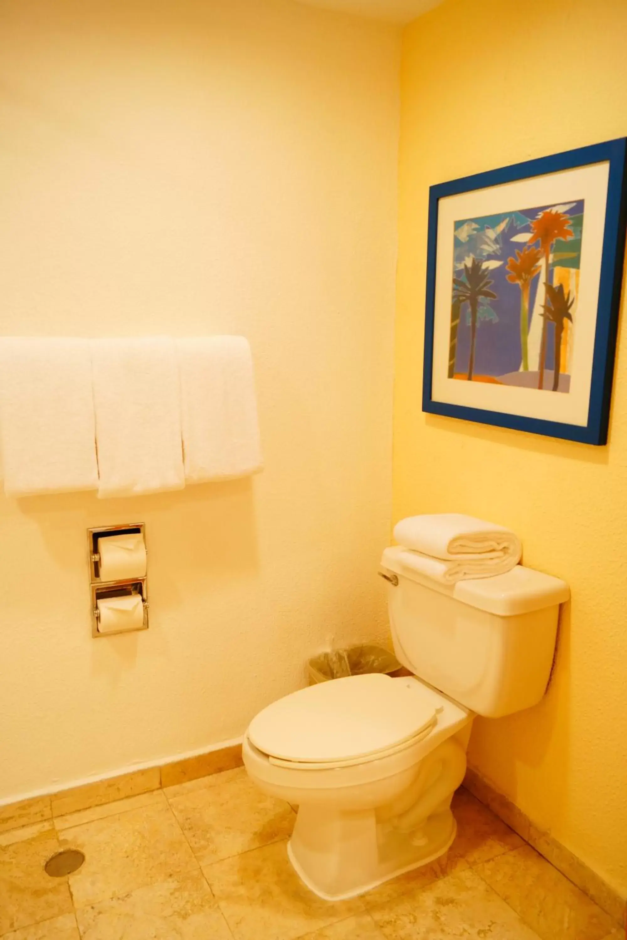 Bathroom in Holiday Inn Resort Acapulco, an IHG Hotel