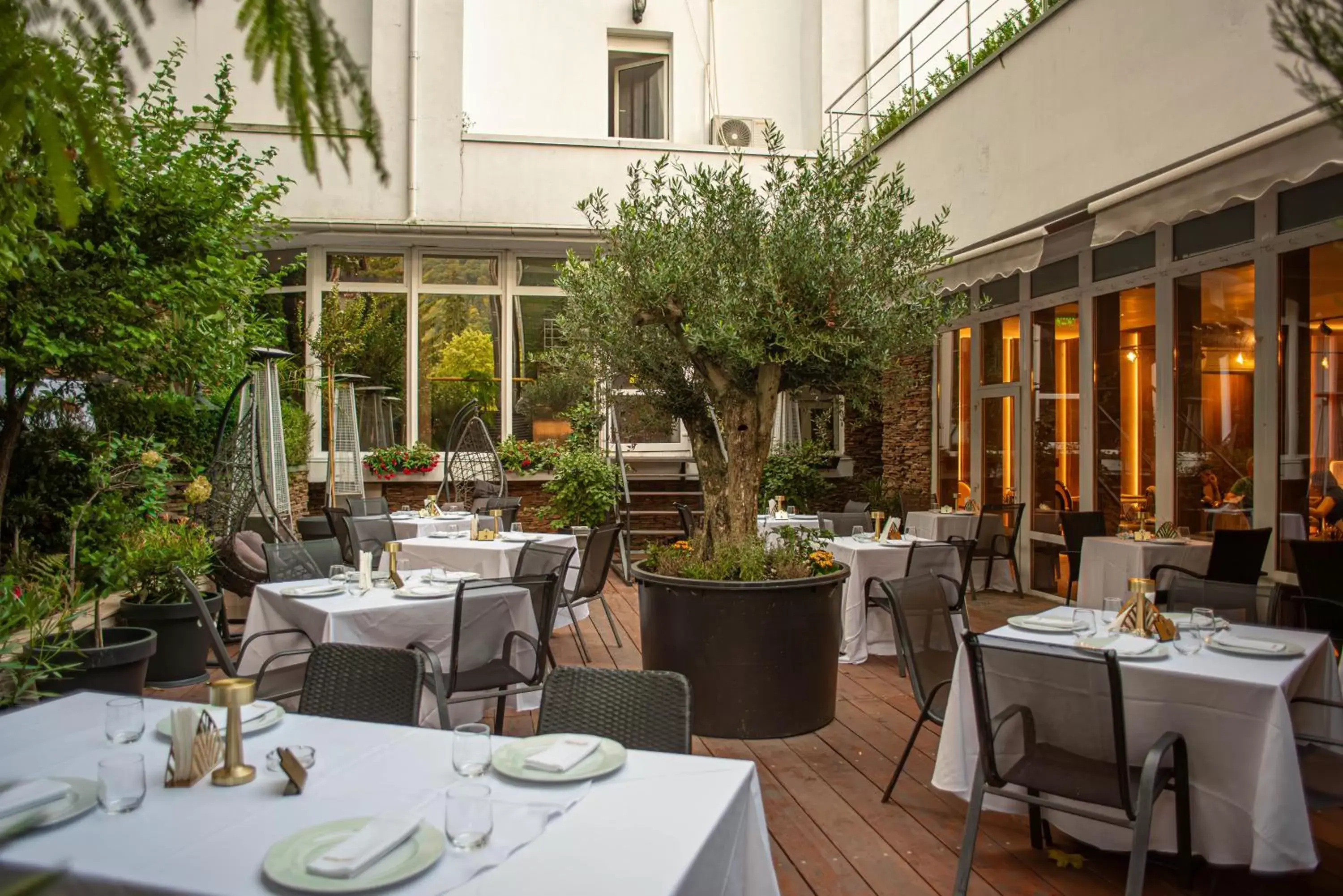 Garden, Restaurant/Places to Eat in Hotel Carpathia