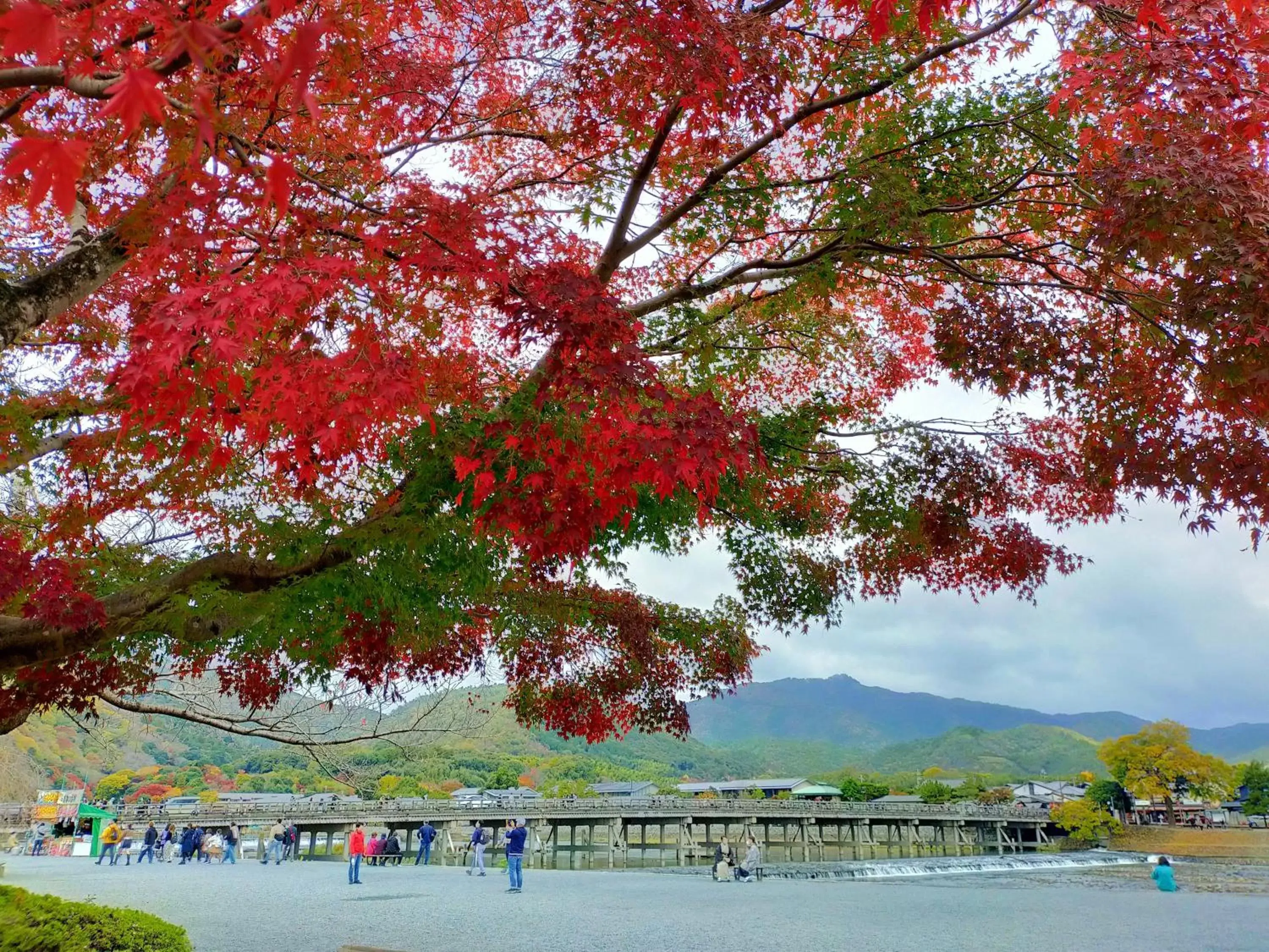 Nearby landmark in Kadensho, Arashiyama Onsen, Kyoto - Kyoritsu Resort