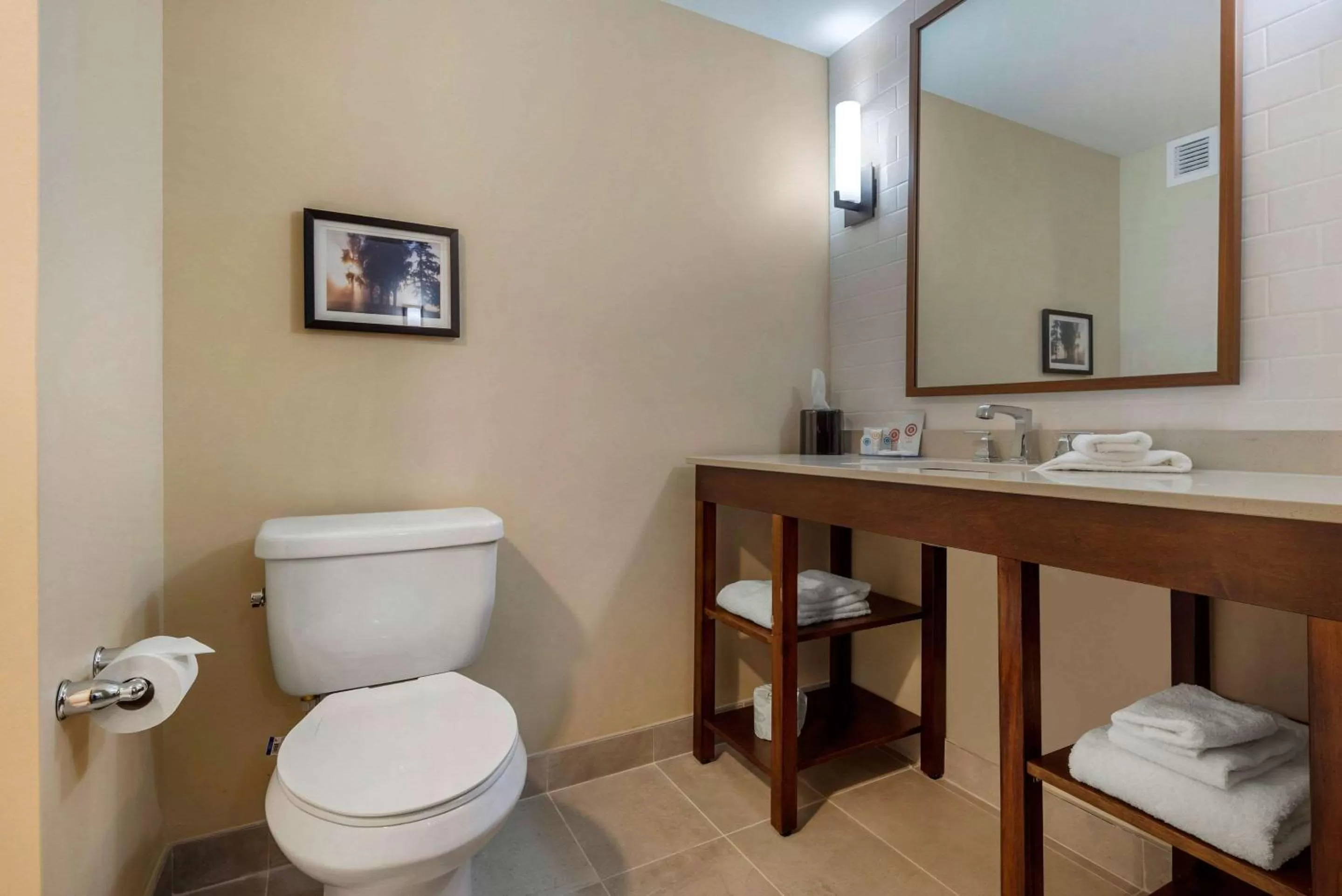 Bathroom in Comfort Inn & Suites