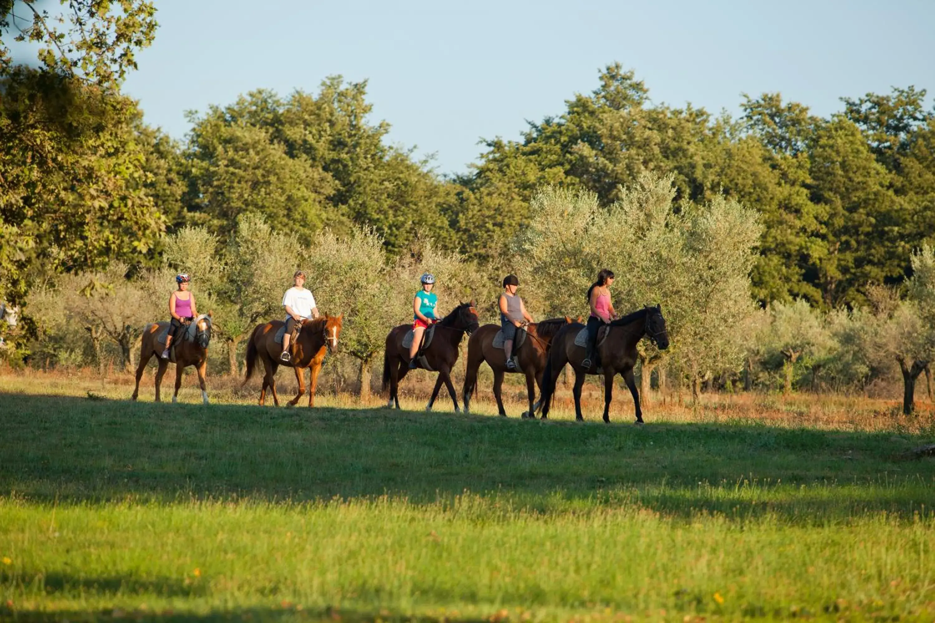 Horse-riding, Horseback Riding in Hotel Parentium Plava Laguna