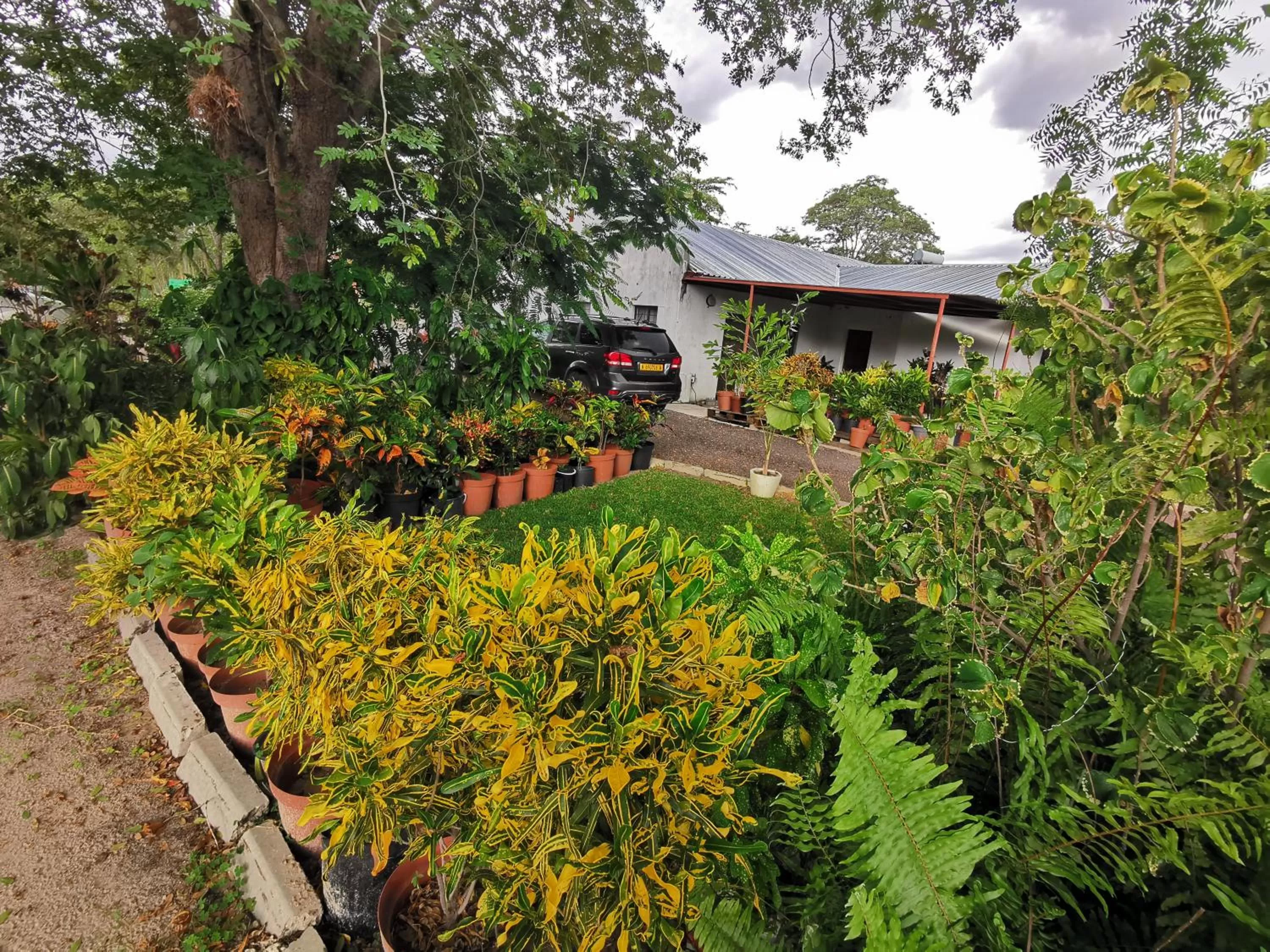 Property Building in Happy Forest B&B