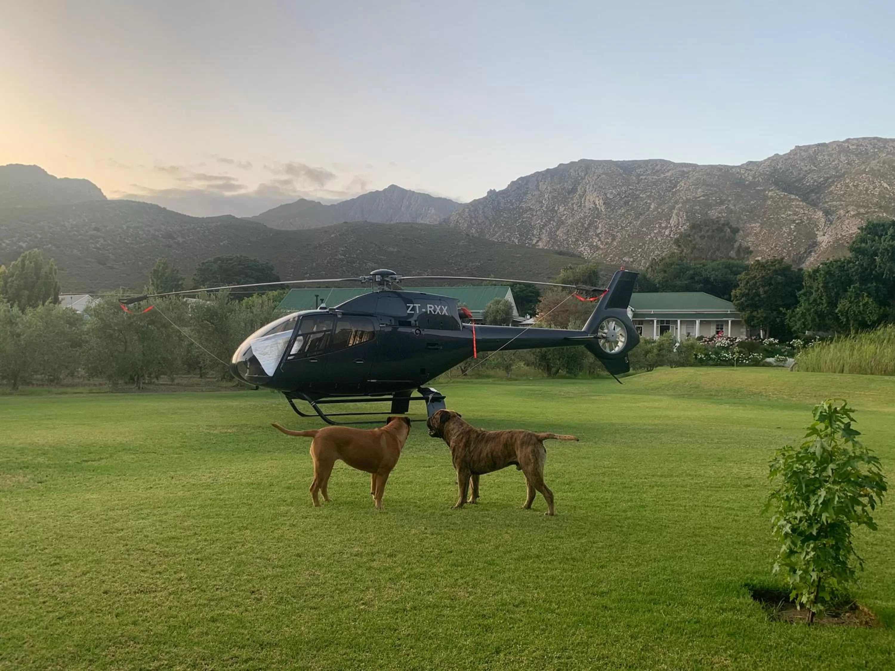 Parking in Montagu Vines Guesthouse