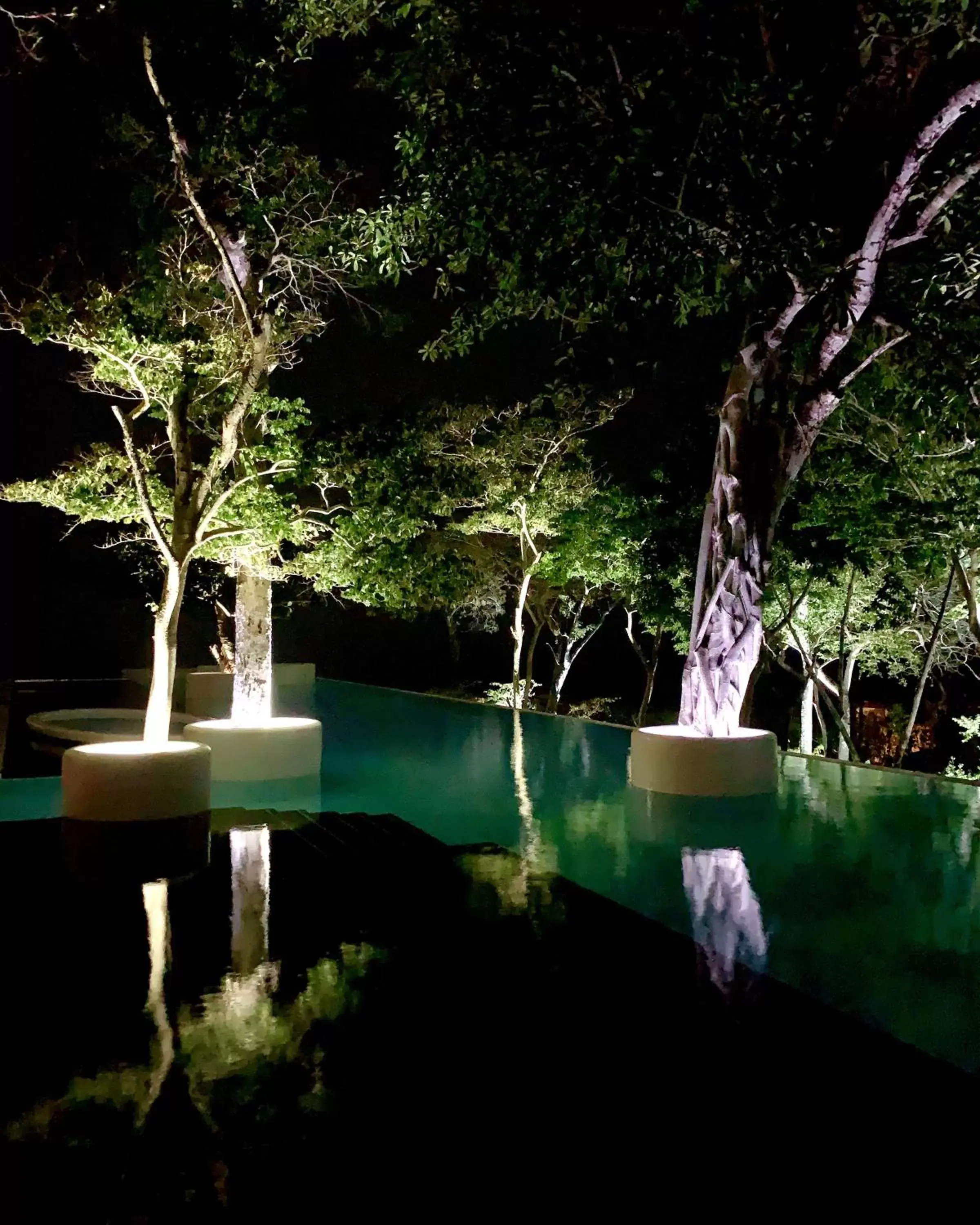 Night, Swimming Pool in Encanto Acapulco