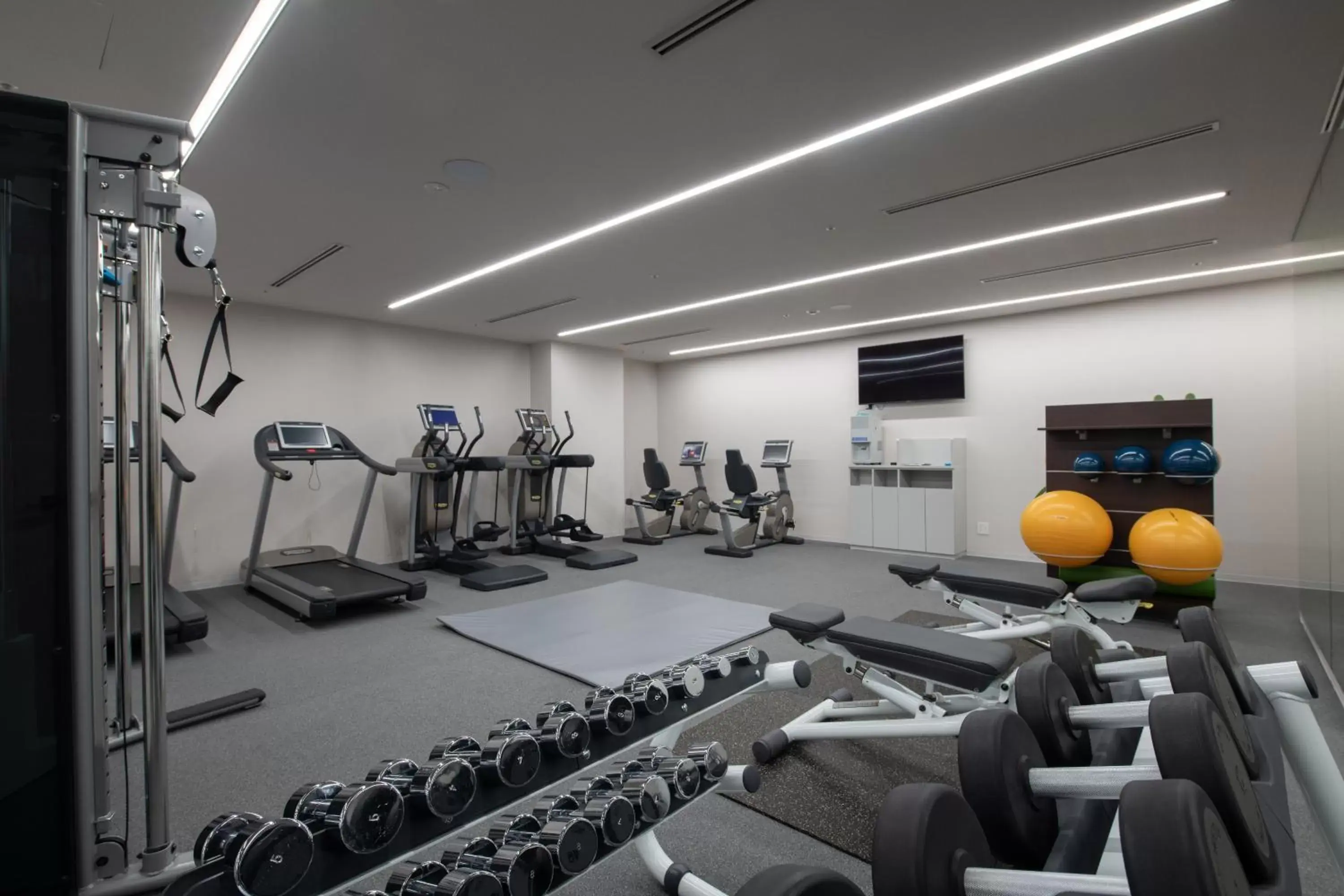 Fitness centre/facilities, Fitness Center/Facilities in Skye Niseko