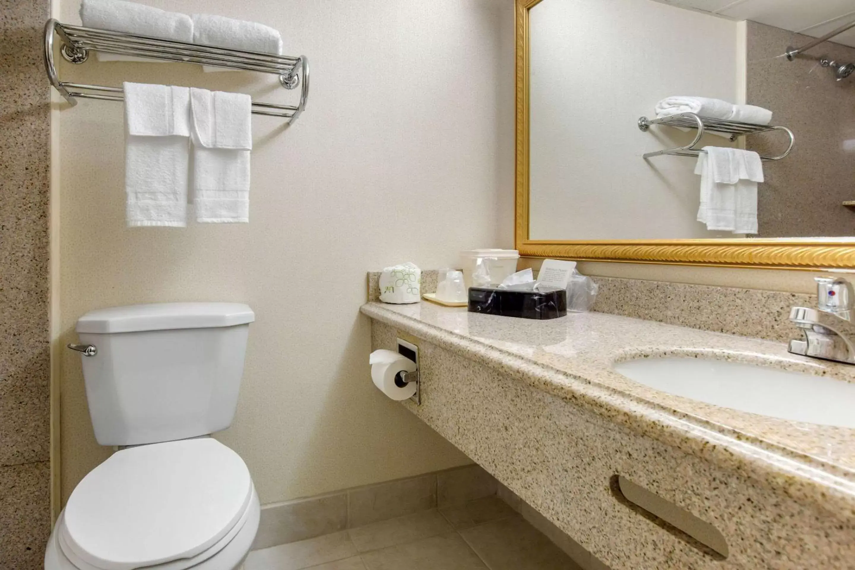 Photo of the whole room, Bathroom in Quality Inn Ledgewood - Dover