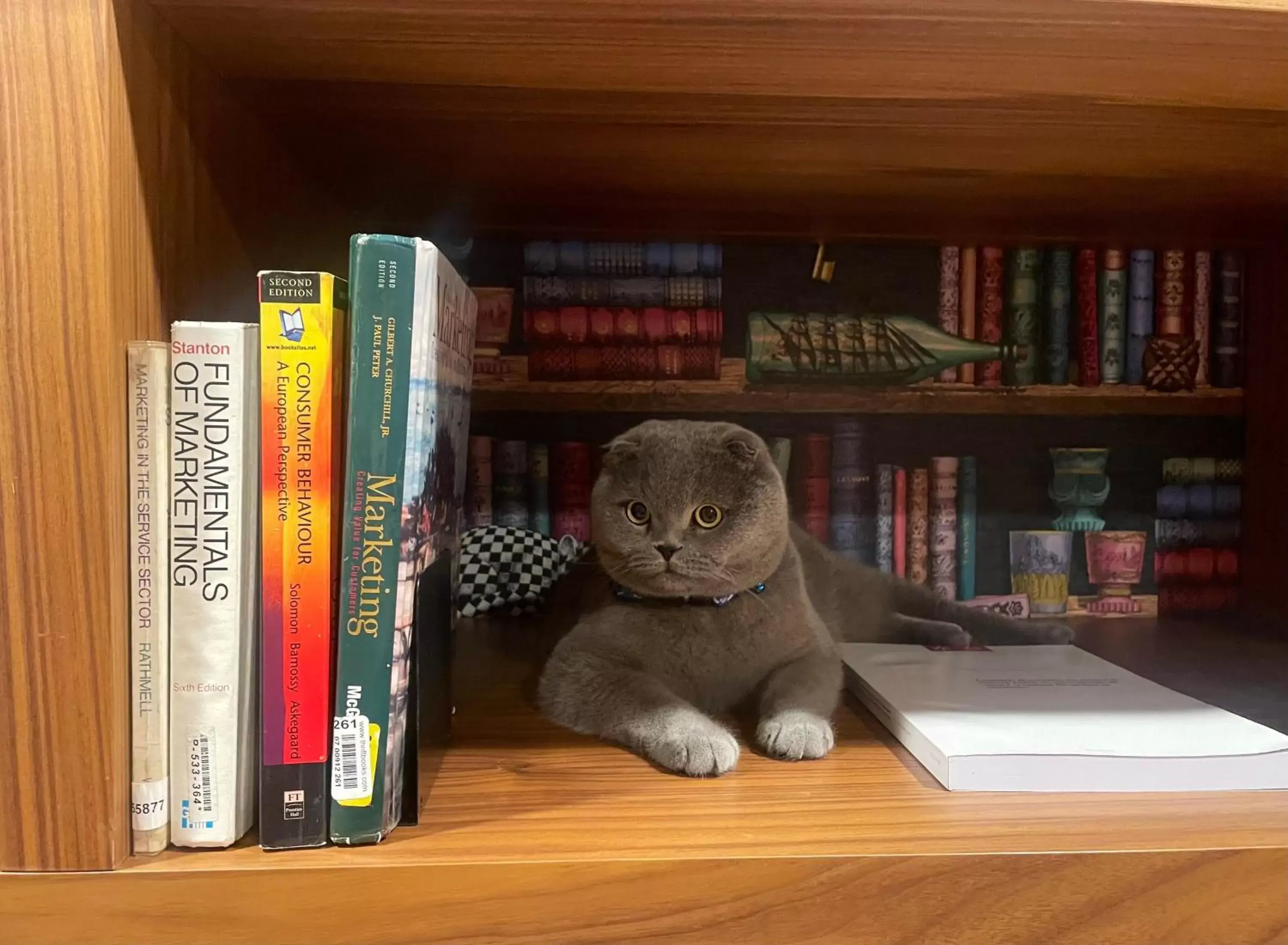 Library in Hotel Cotto do Gatto