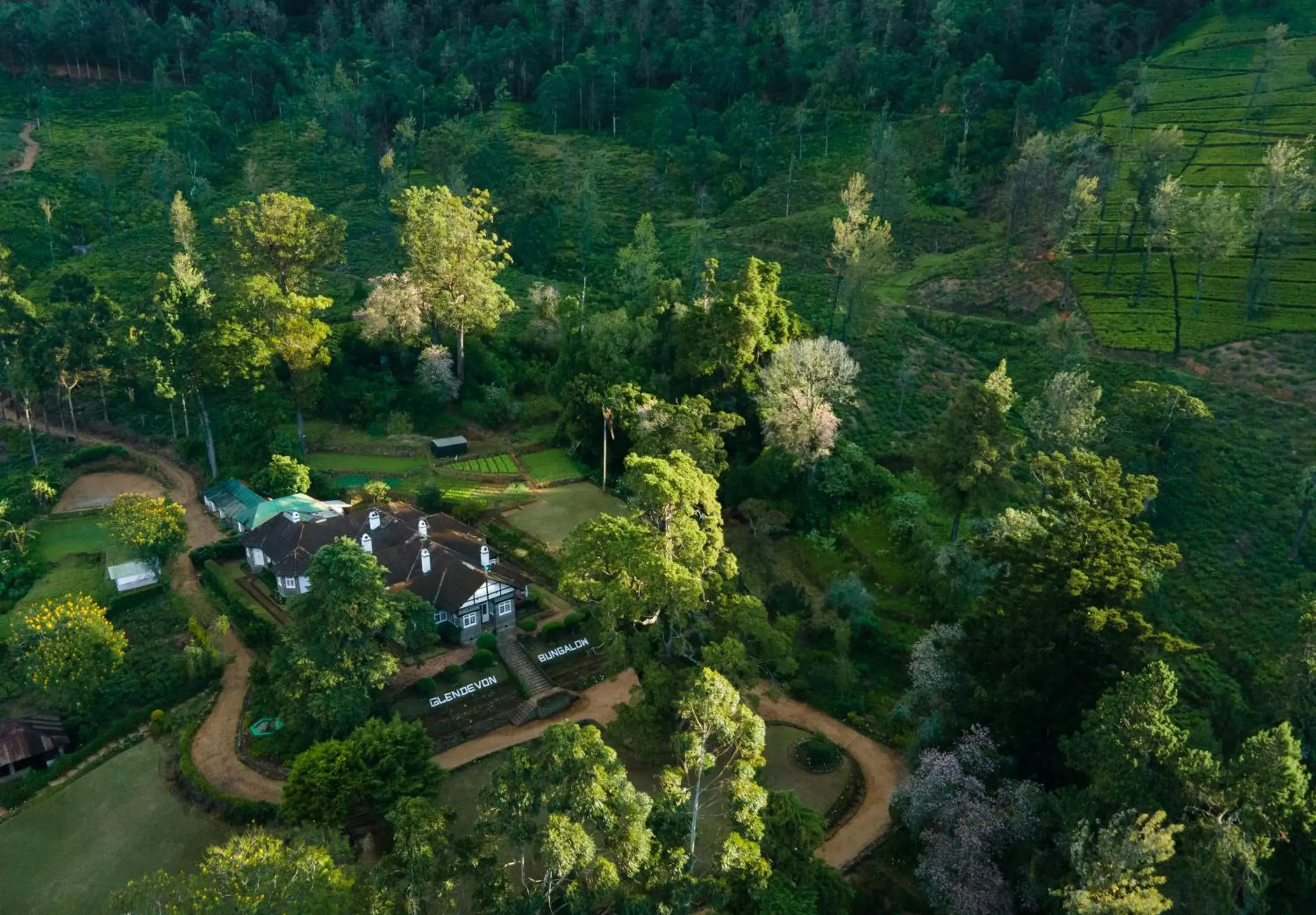 Property building, Bird's-eye View in Scottish Planter Bungalow- Thema Collection