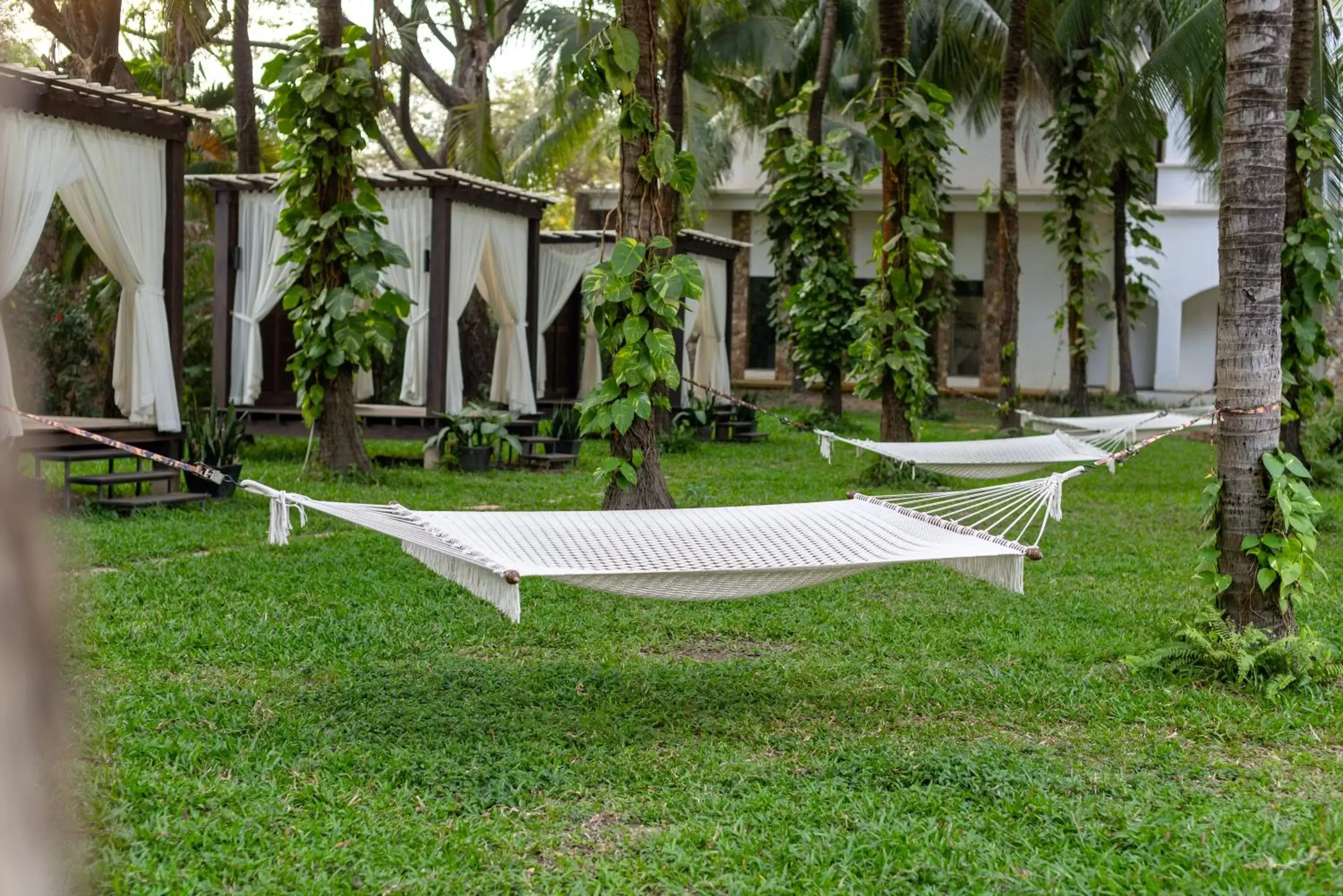 Garden in Lotus Blanc Hotel