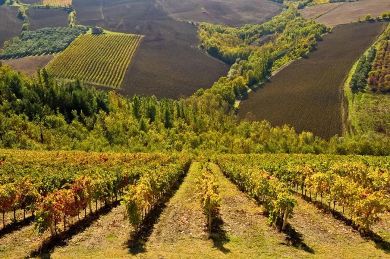 Activities, Bird's-eye View in Residence Borgo Offida