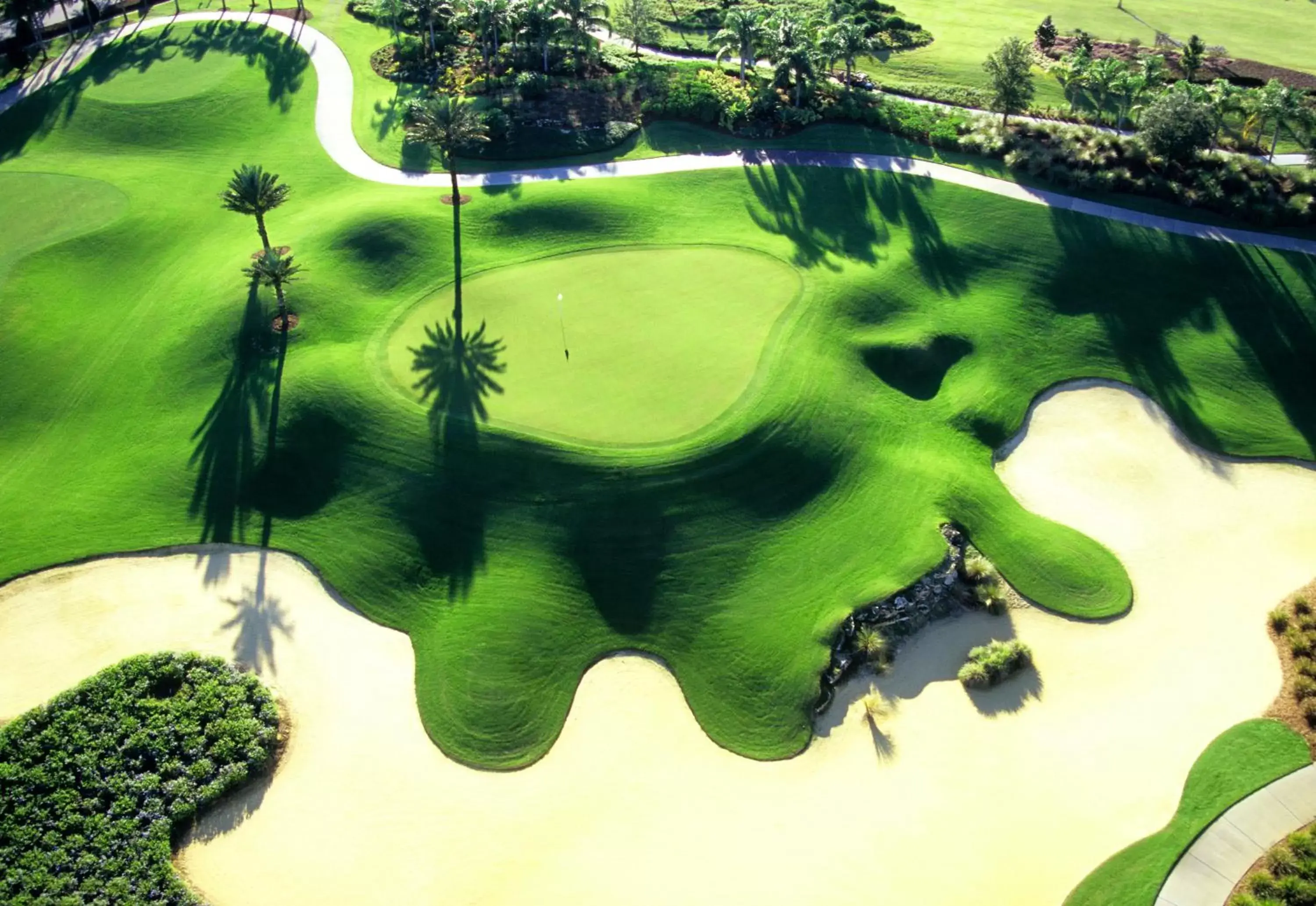 Day, Bird's-eye View in Reunion Resort & Golf Club