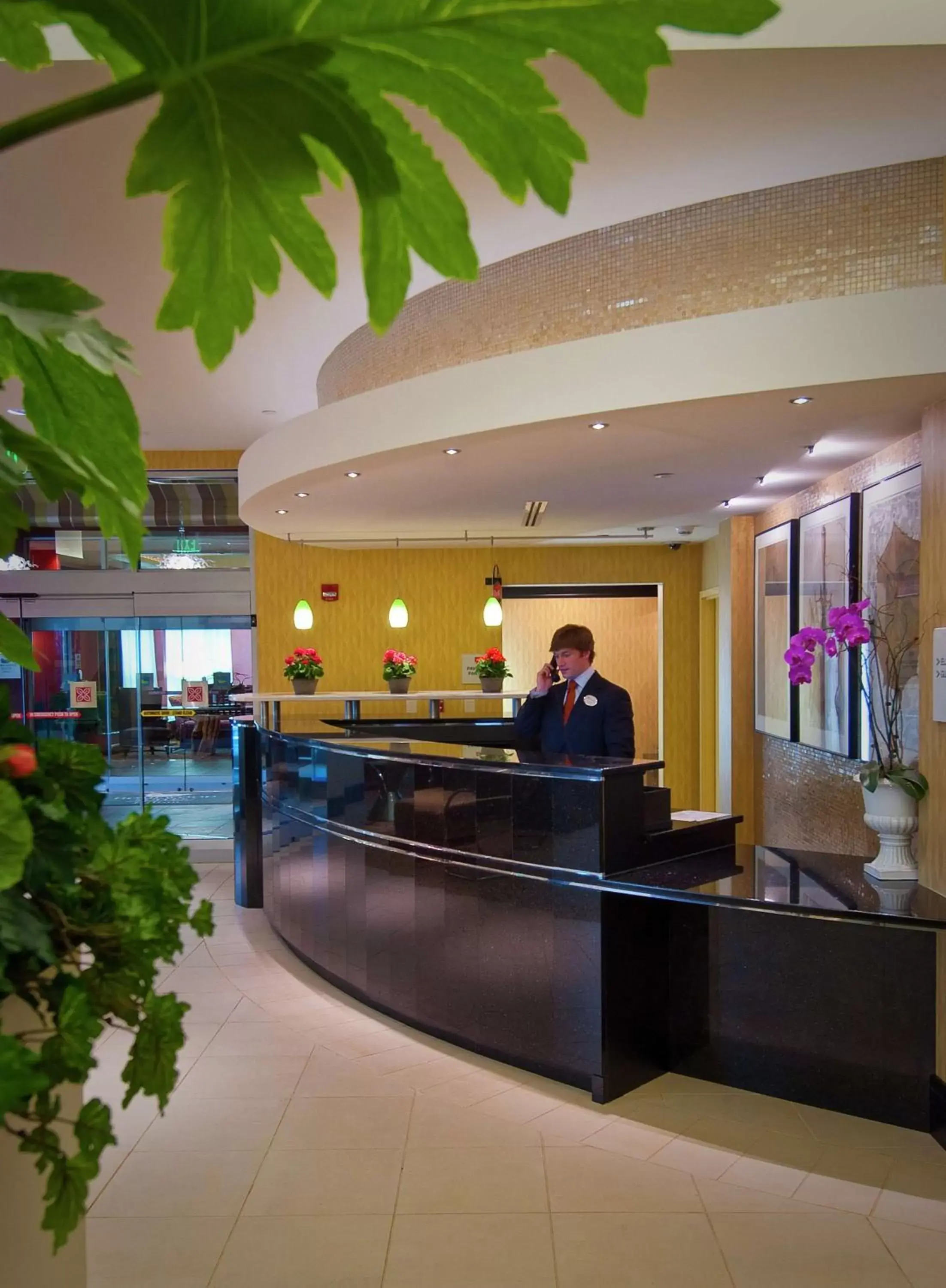 Lobby or reception, Lobby/Reception in Hilton Garden Inn Rockville - Gaithersburg