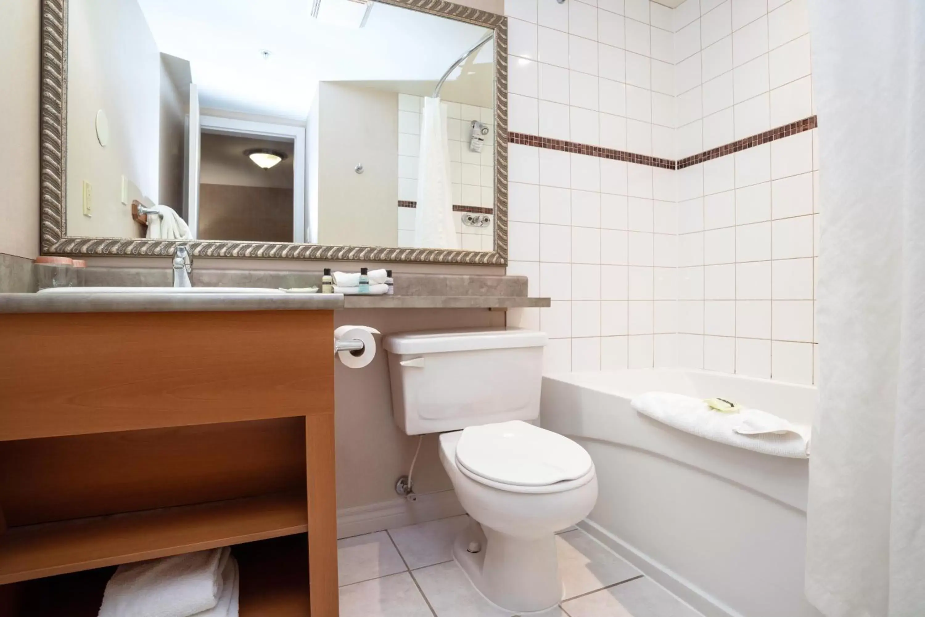 Bathroom in Sandman Hotel & Suites Regina