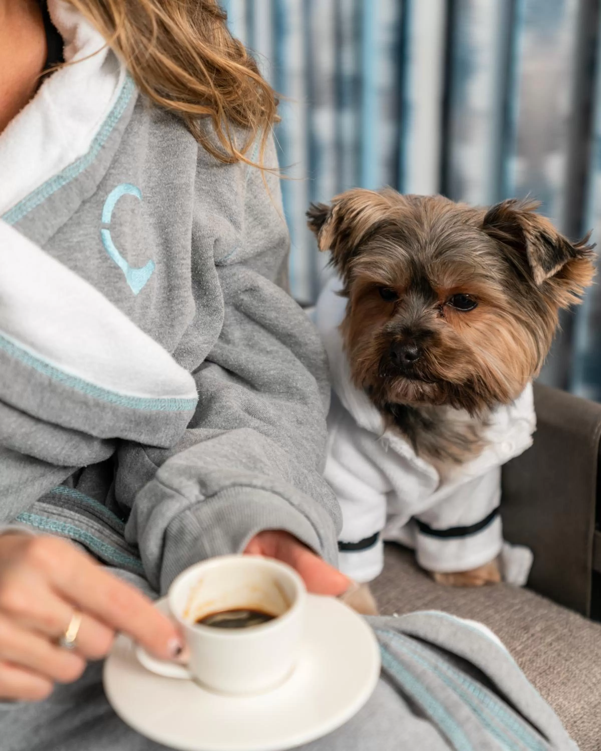 Pets in Hyatt Centric Brickell Miami