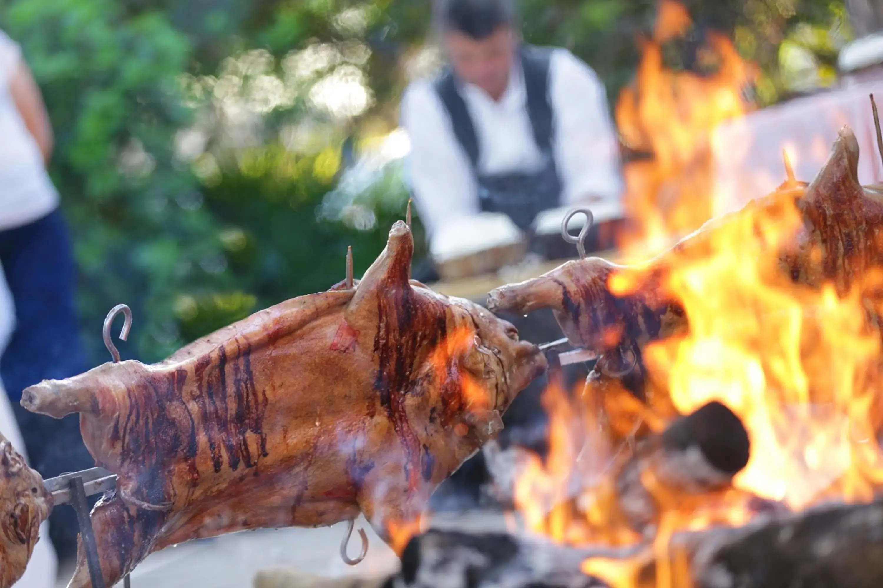 Food close-up in Hotel Punta Negra