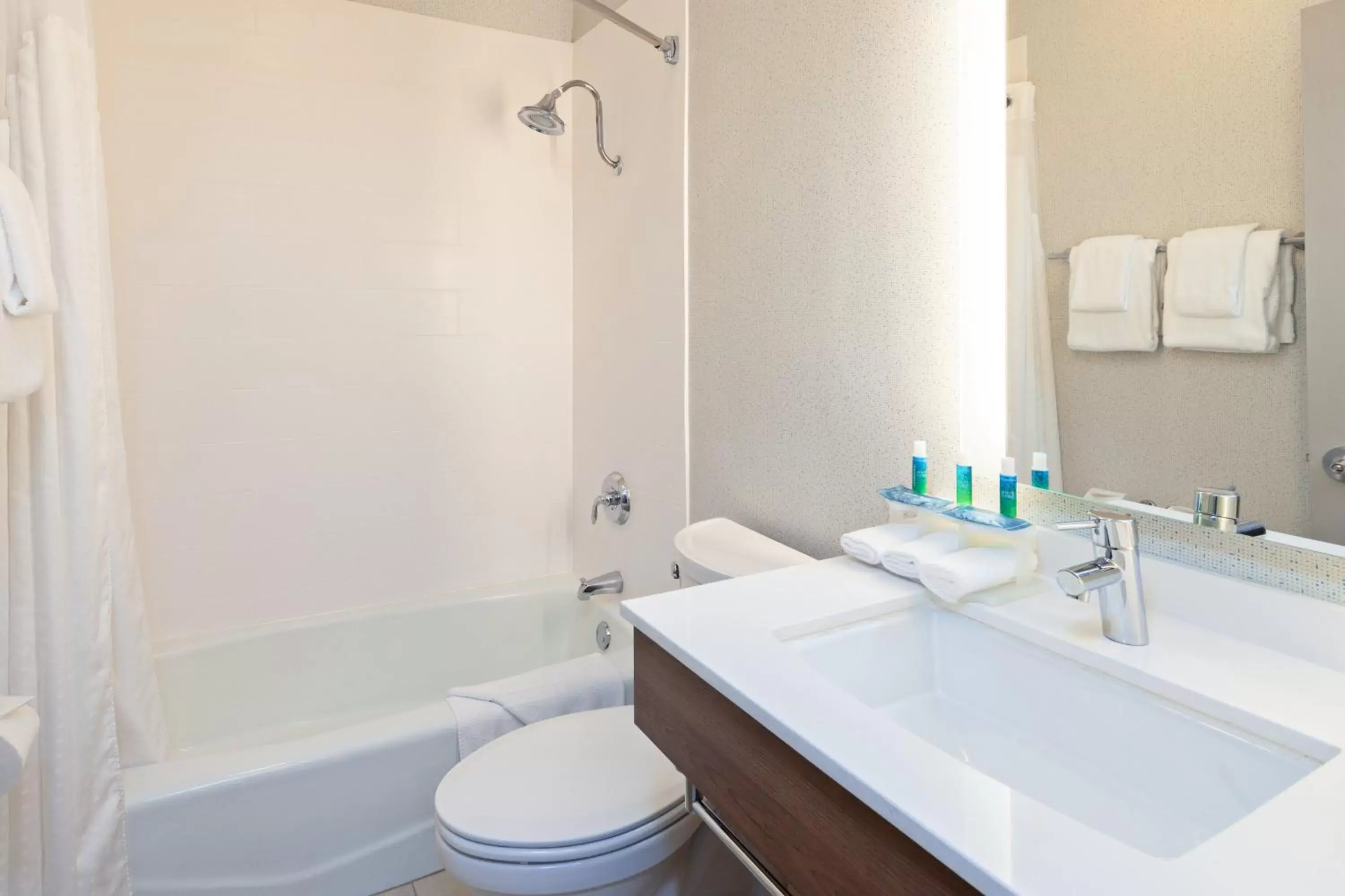 Bathroom in Holiday Inn Express Hotel & Suites San Diego-Escondido, an IHG Hotel