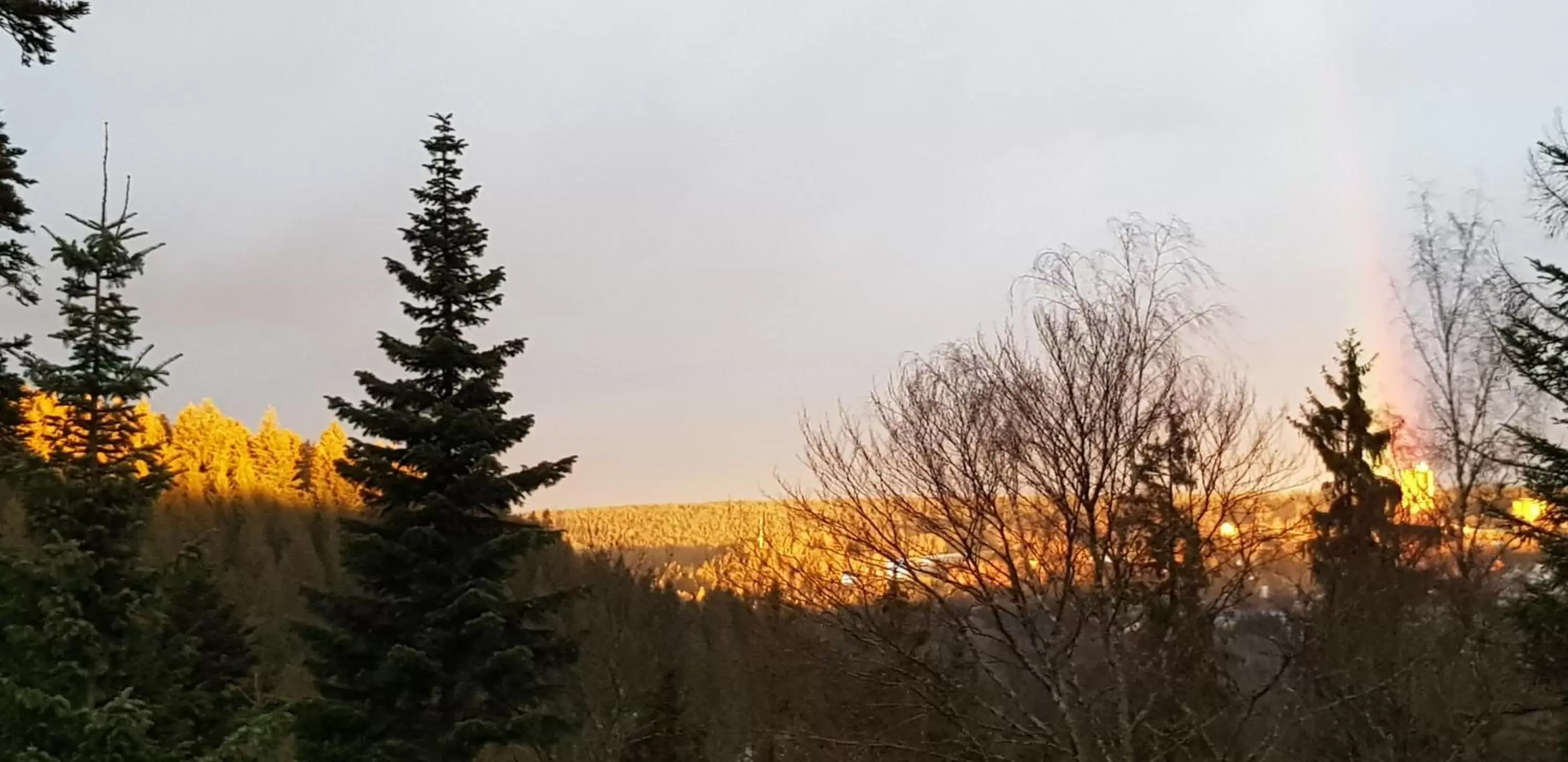 Winter, Natural Landscape in Hotel Teuchelwald