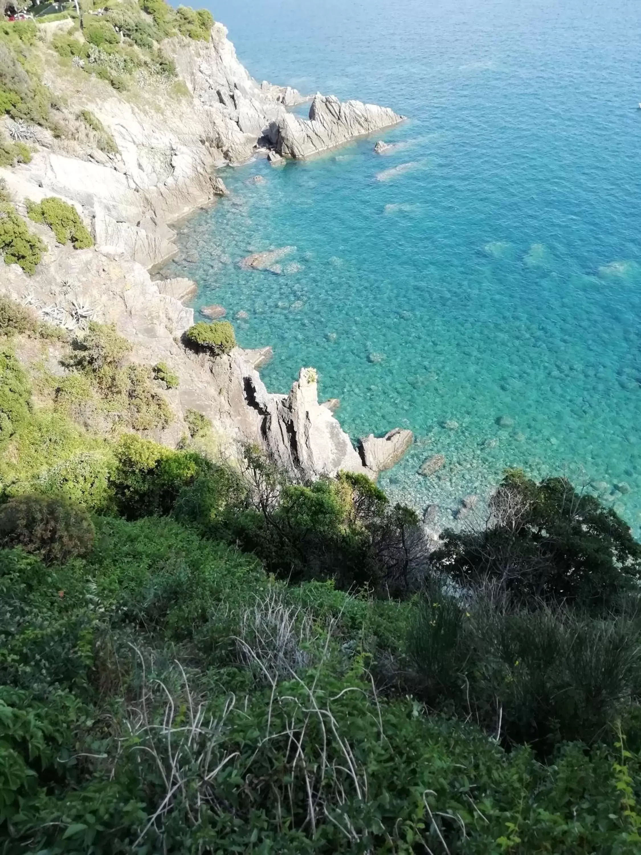 Garden view in Grand Hotel Dei Castelli