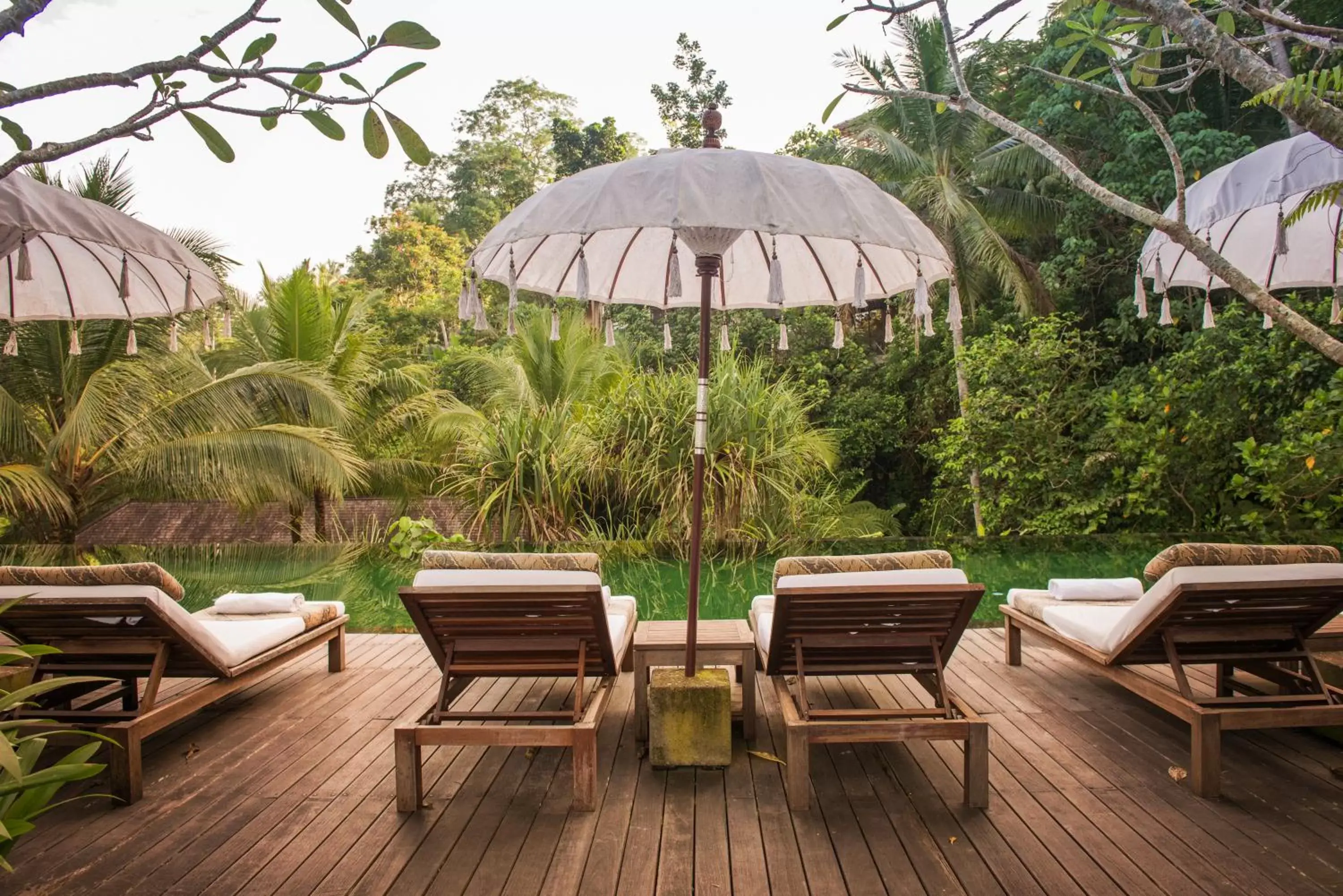 Pool view in Komaneka at Bisma Ubud Pool view in Komaneka at Bisma Ubud