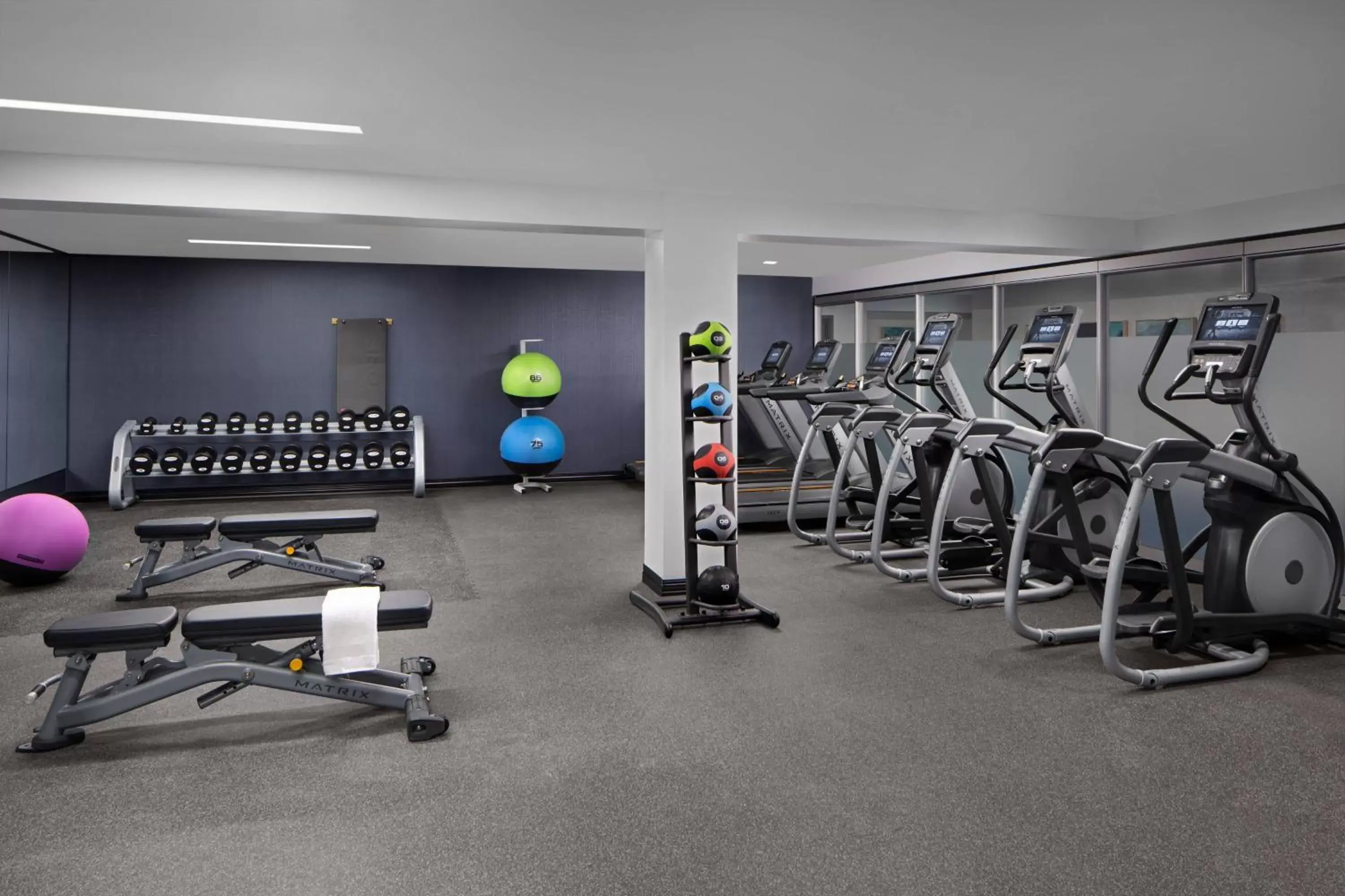 Fitness centre/facilities, Fitness Center/Facilities in Delta Hotels by Marriott Thunder Bay