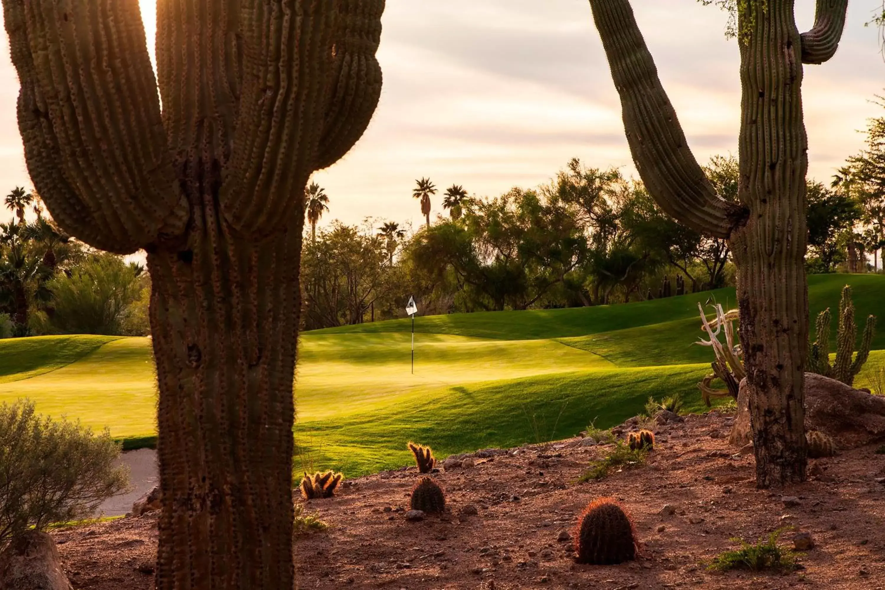 Golfcourse in The Phoenician, a Luxury Collection Resort, Scottsdale