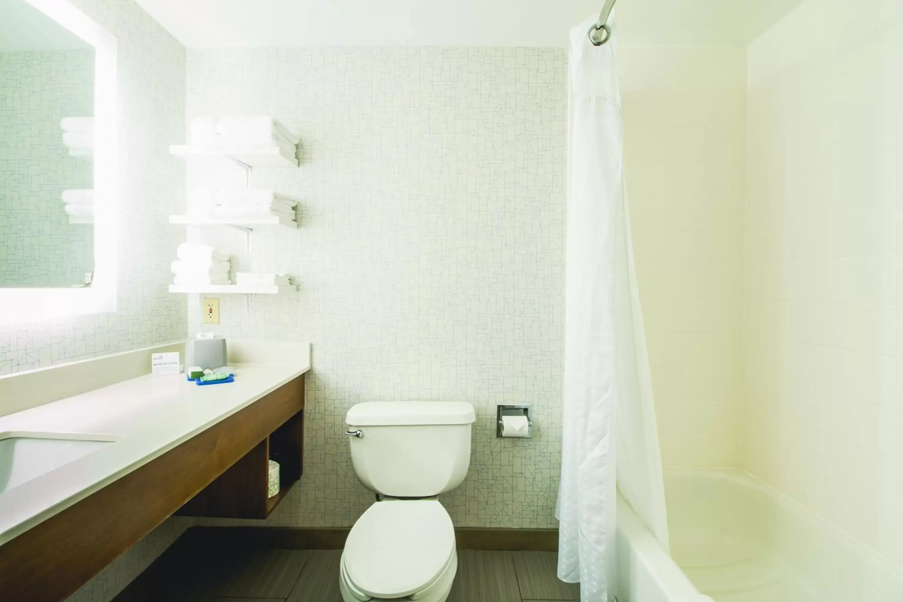 Bathroom in Holiday Inn Express & Suites - Lincoln East - White Mountains, an IHG Hotel