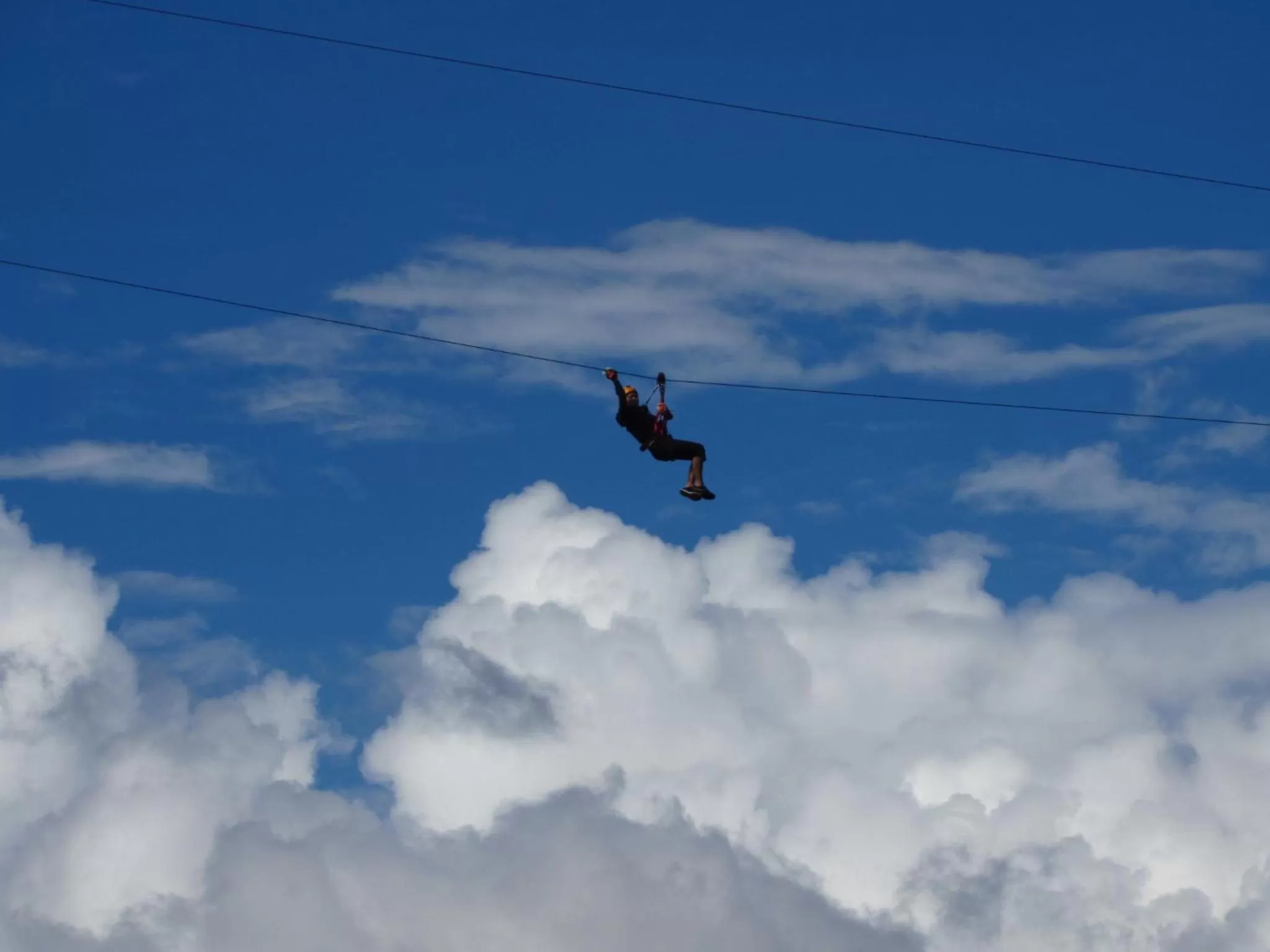 Activities in TREE TREK BOQUETE Adventure Park
