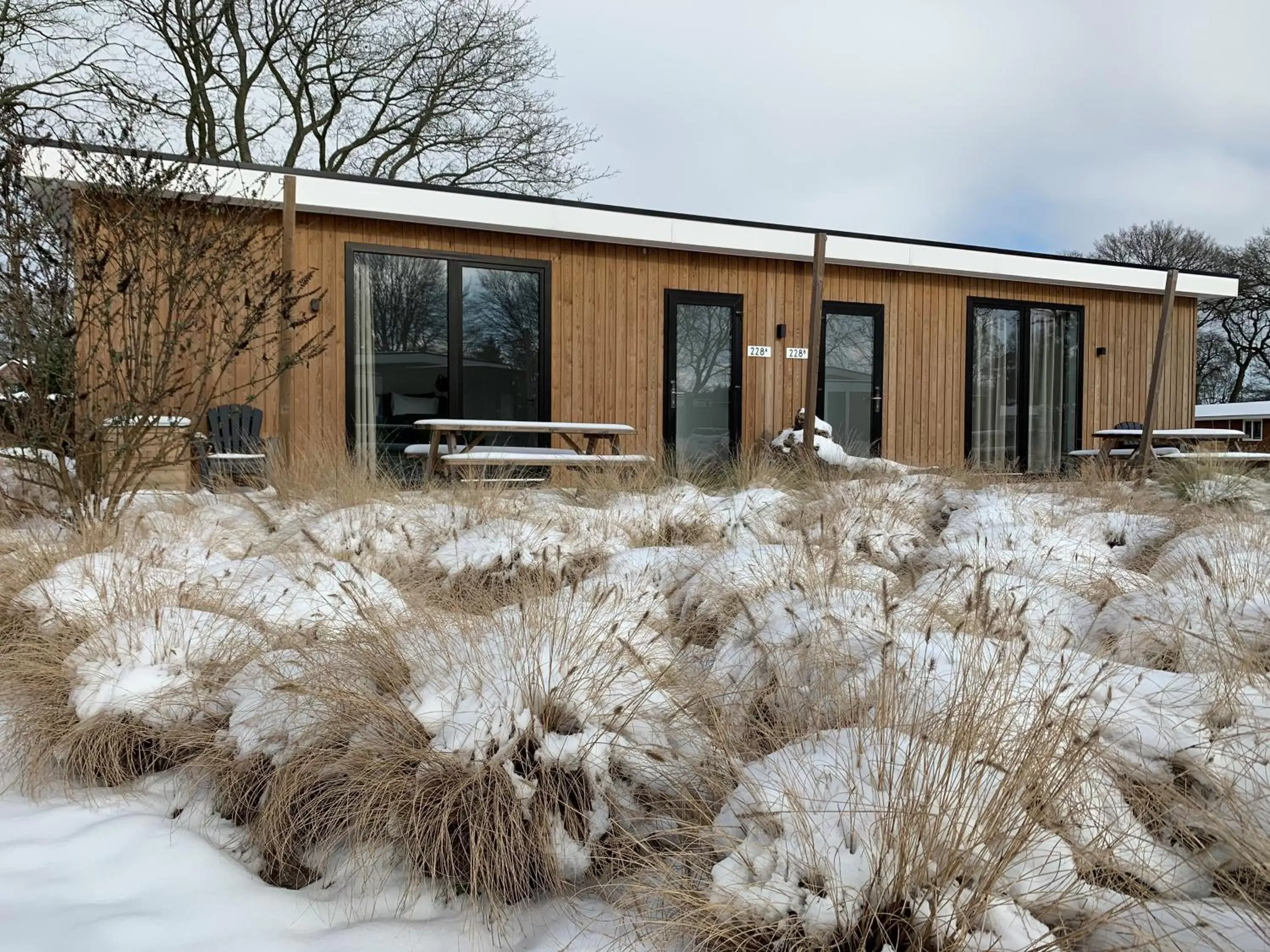 Natural landscape, Winter in Duynparc Soest