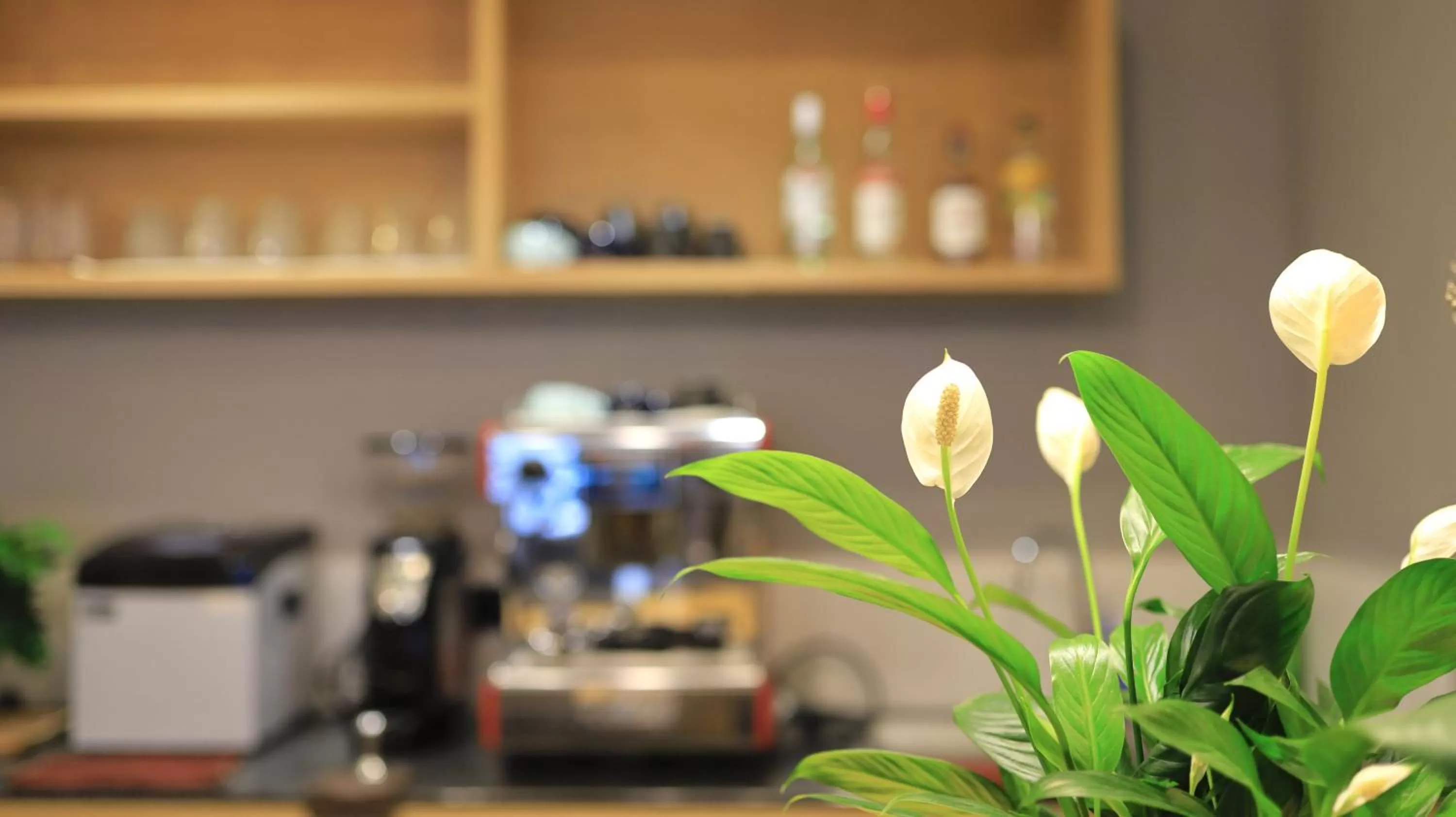 Property building in Travel light Guilin