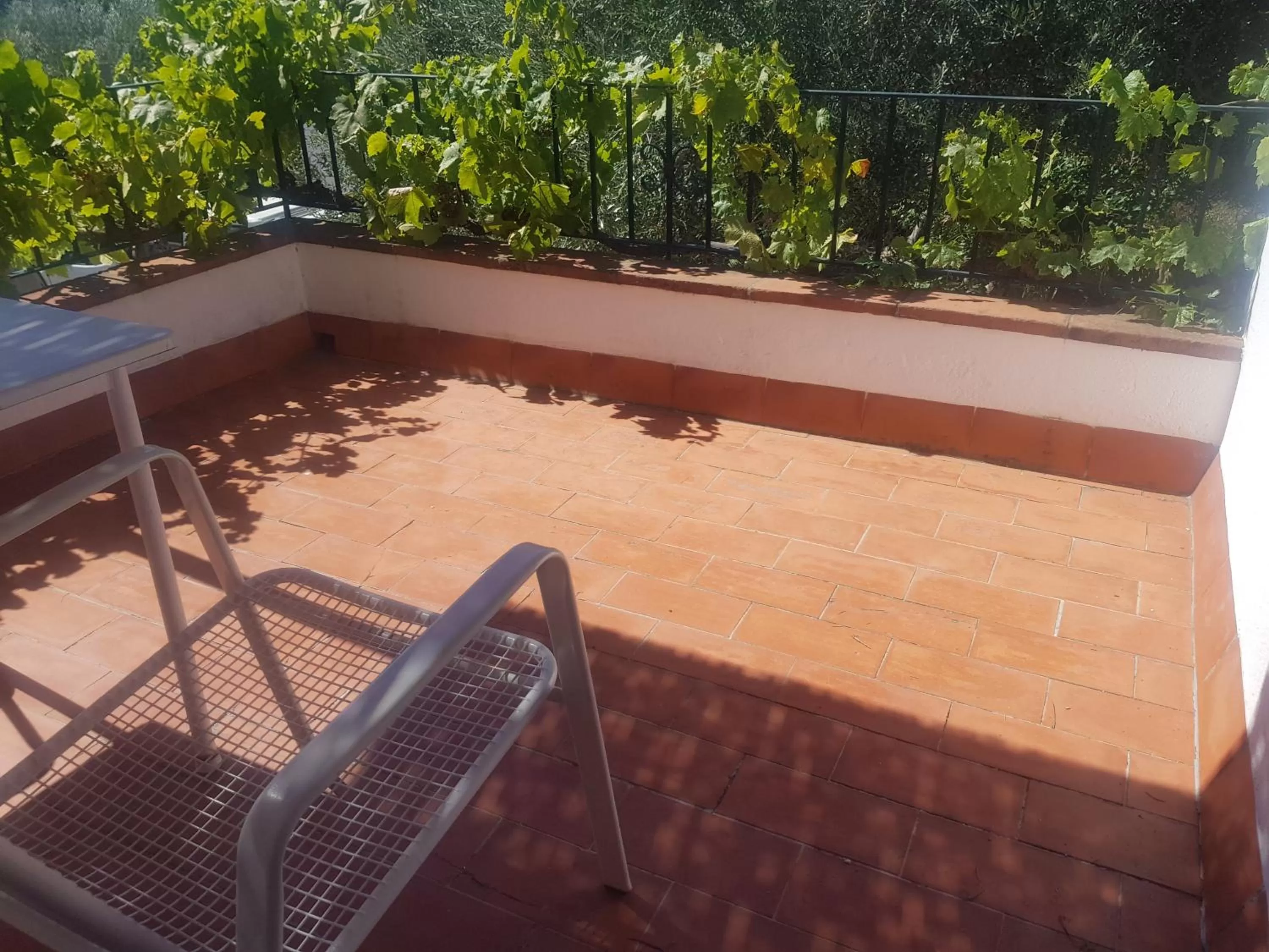 Balcony/Terrace in Hostal Ondina