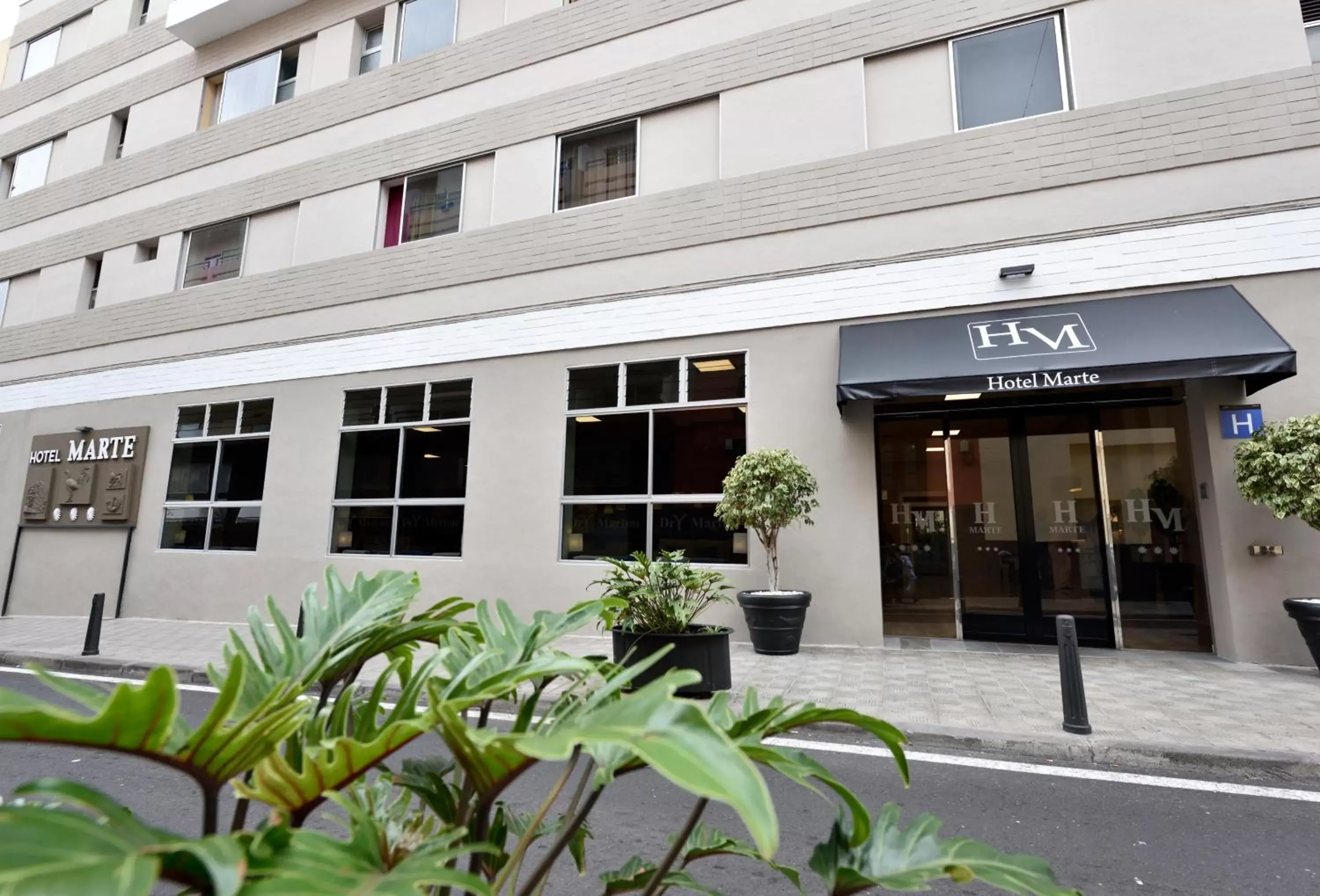 Facade/entrance in Hotel Marte Facade/entrance in Hotel Marte